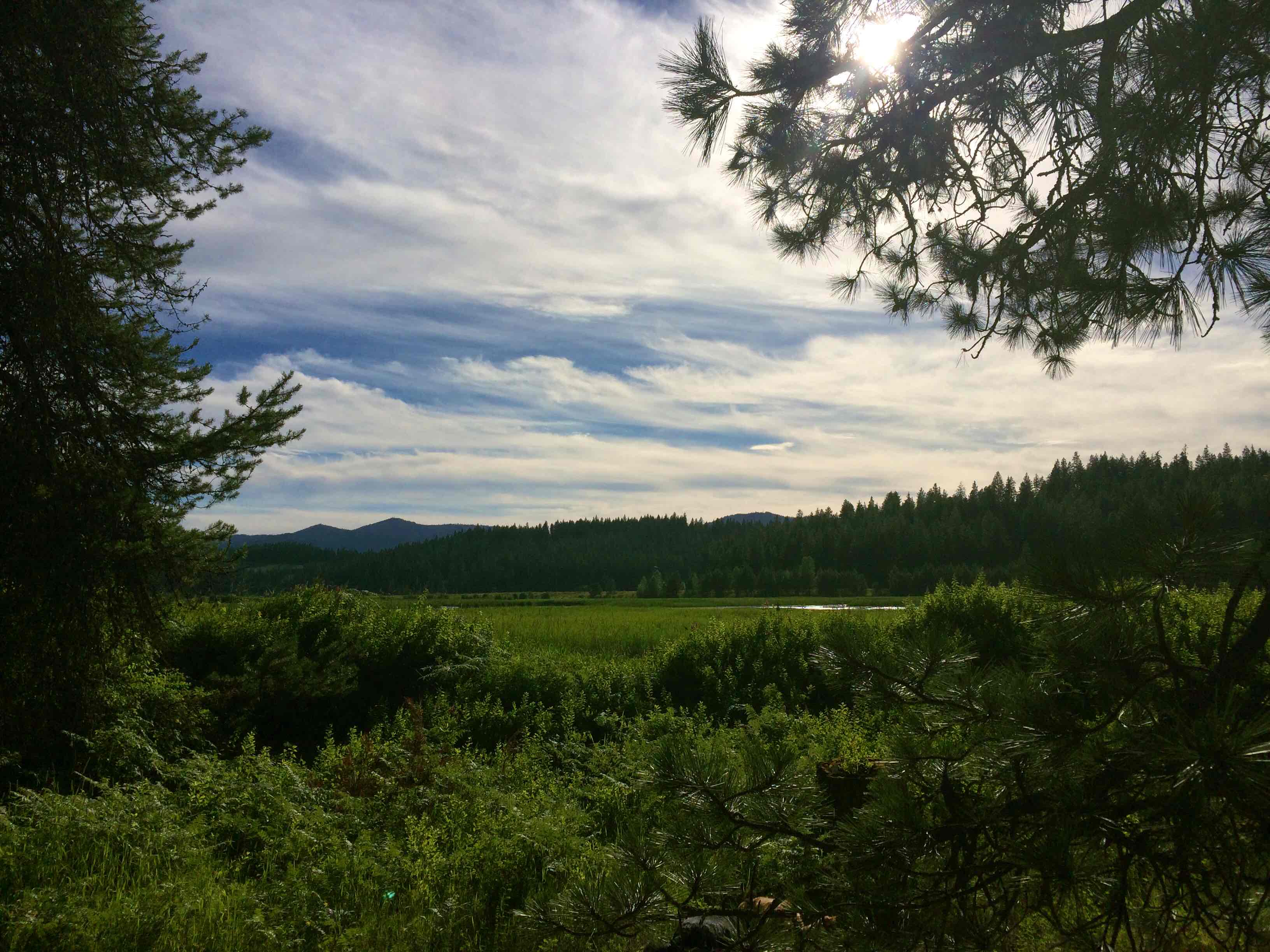 John Pointner Memorial Wildlife Sanctuary Trail