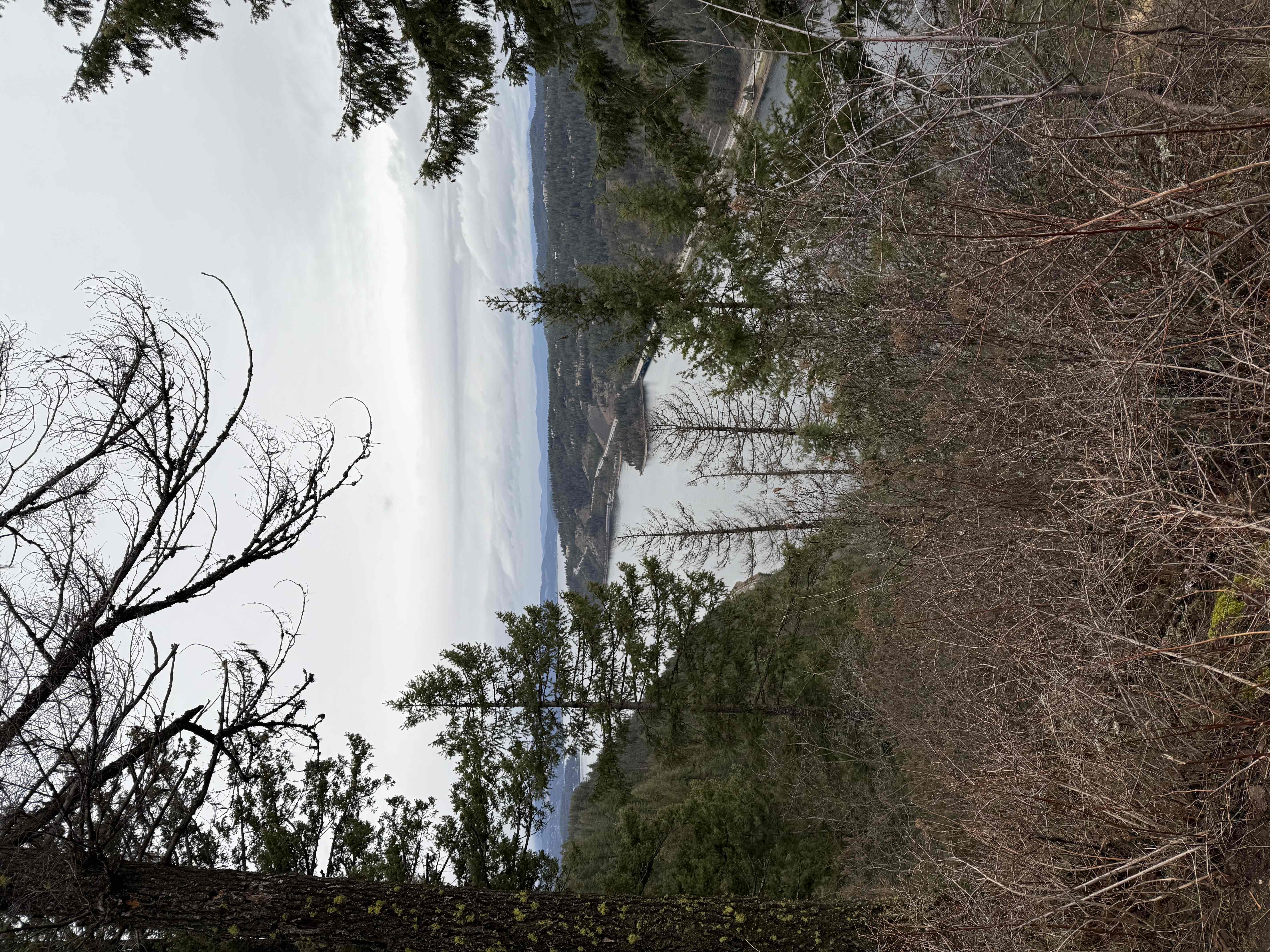 Lost Man Trail