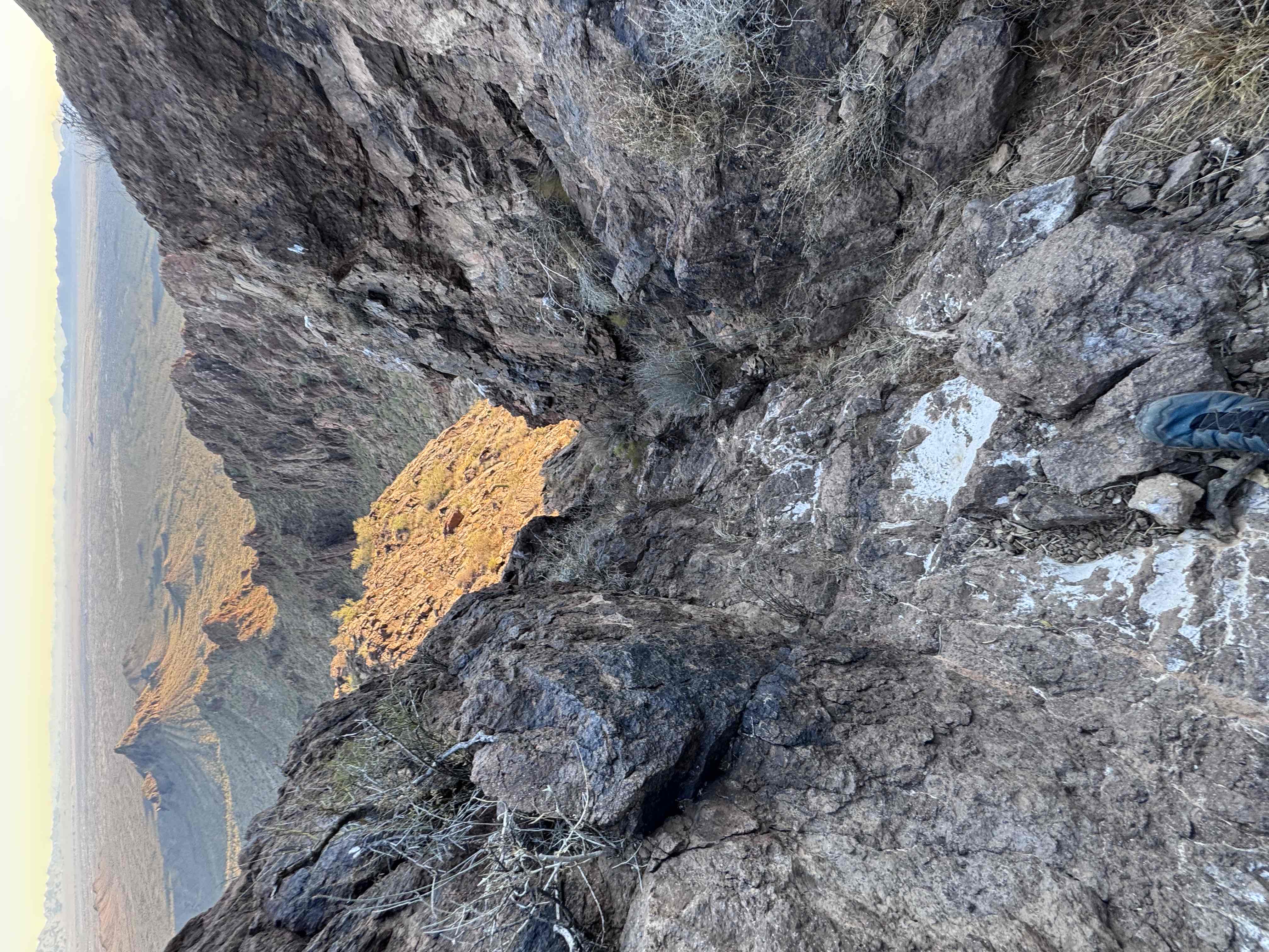 Vulture Peak Trail