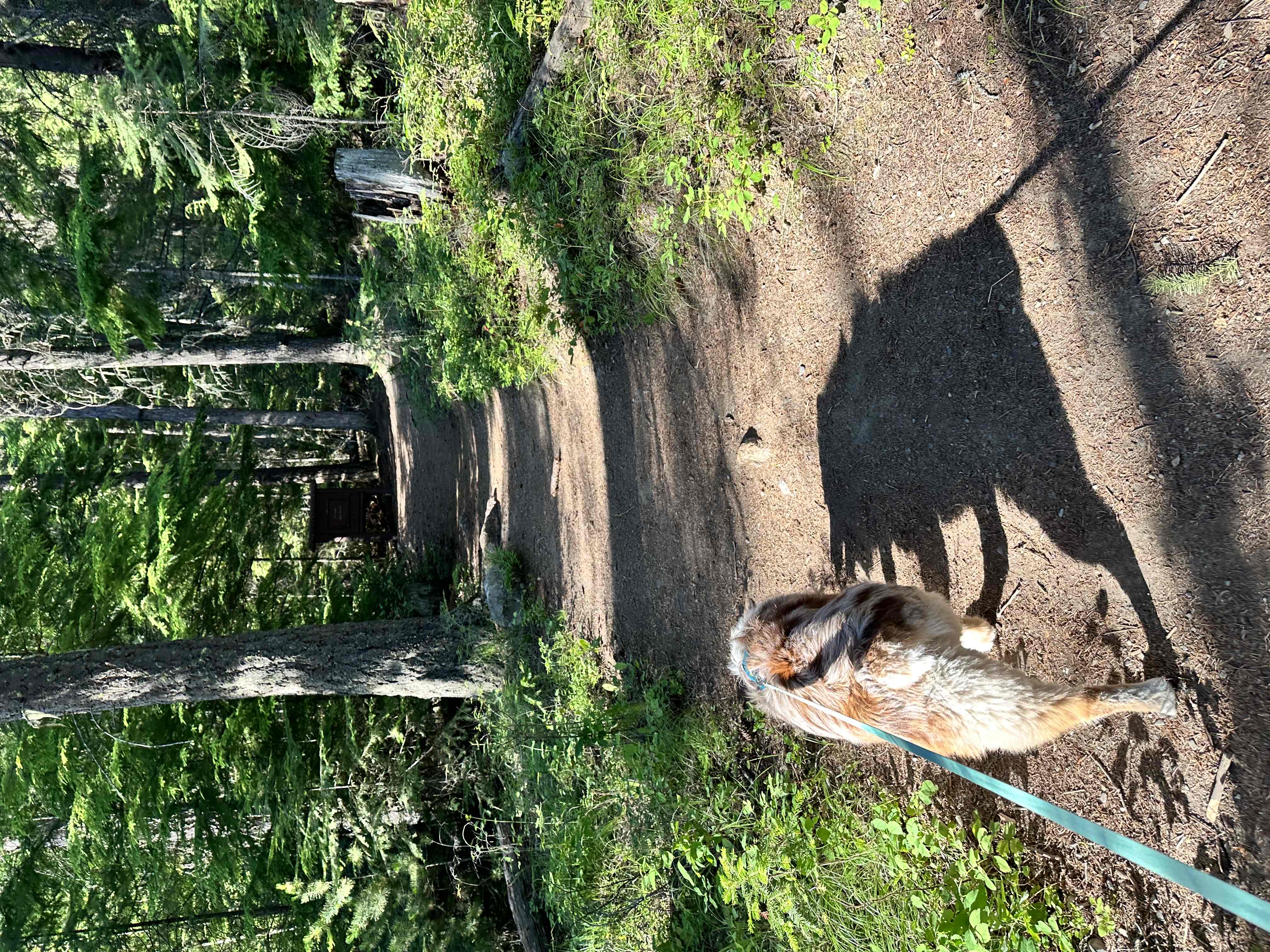 Copper Falls Trail