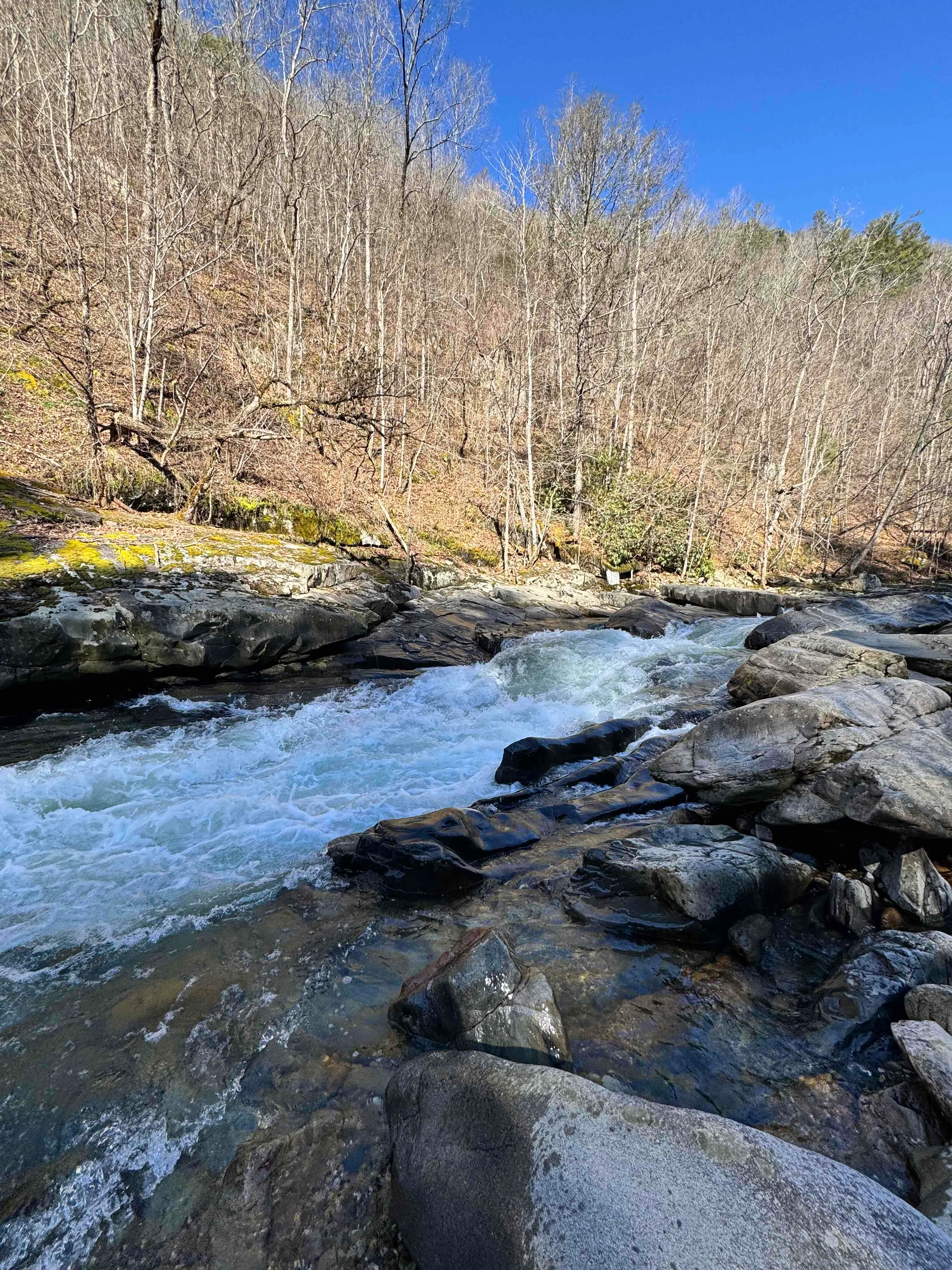 Laurel River Trail