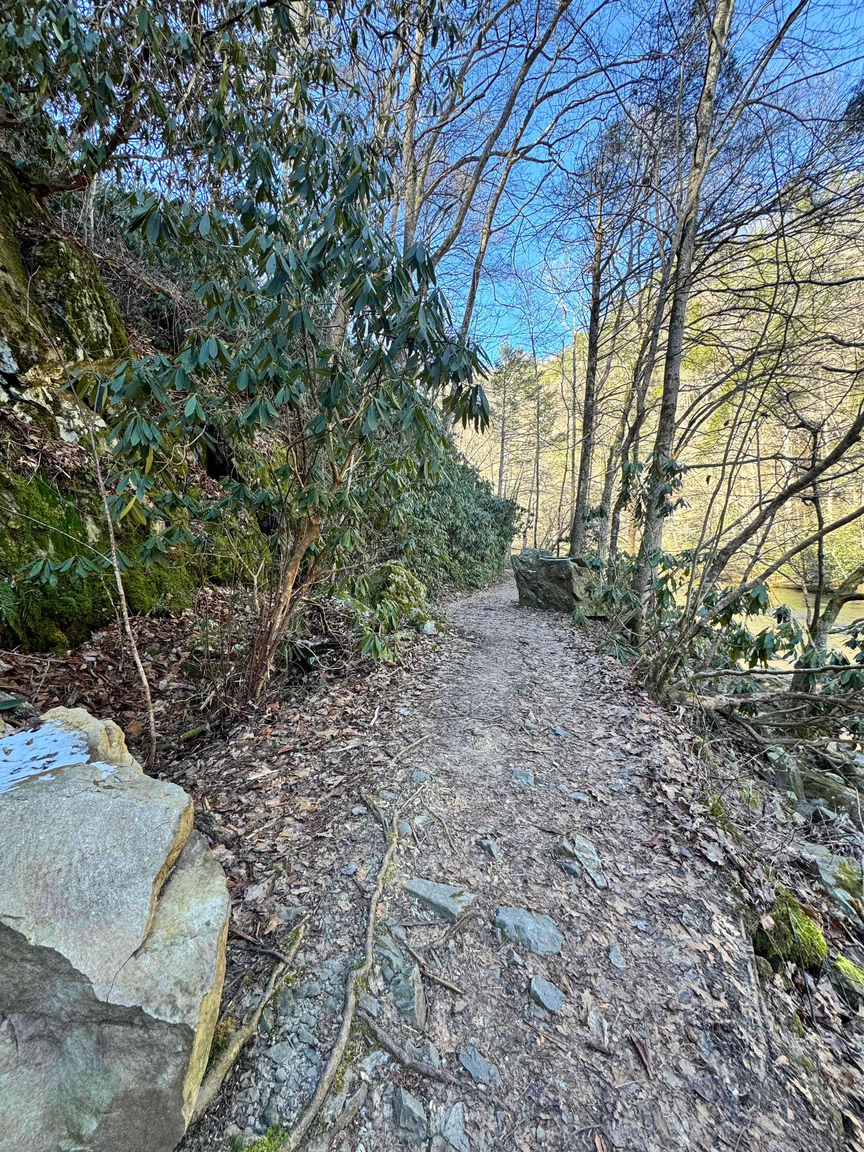Laurel River Trail