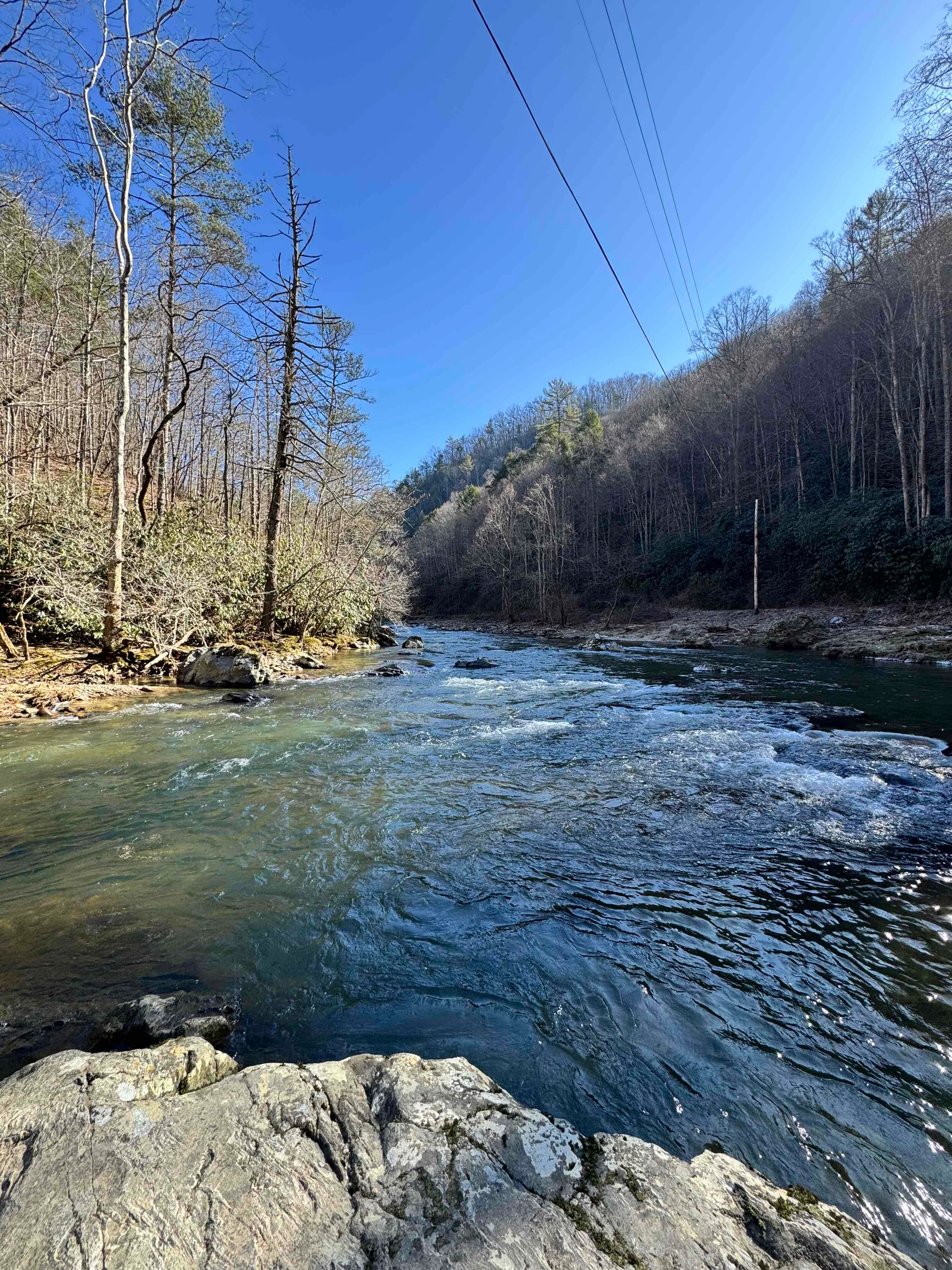 Laurel River Trail
