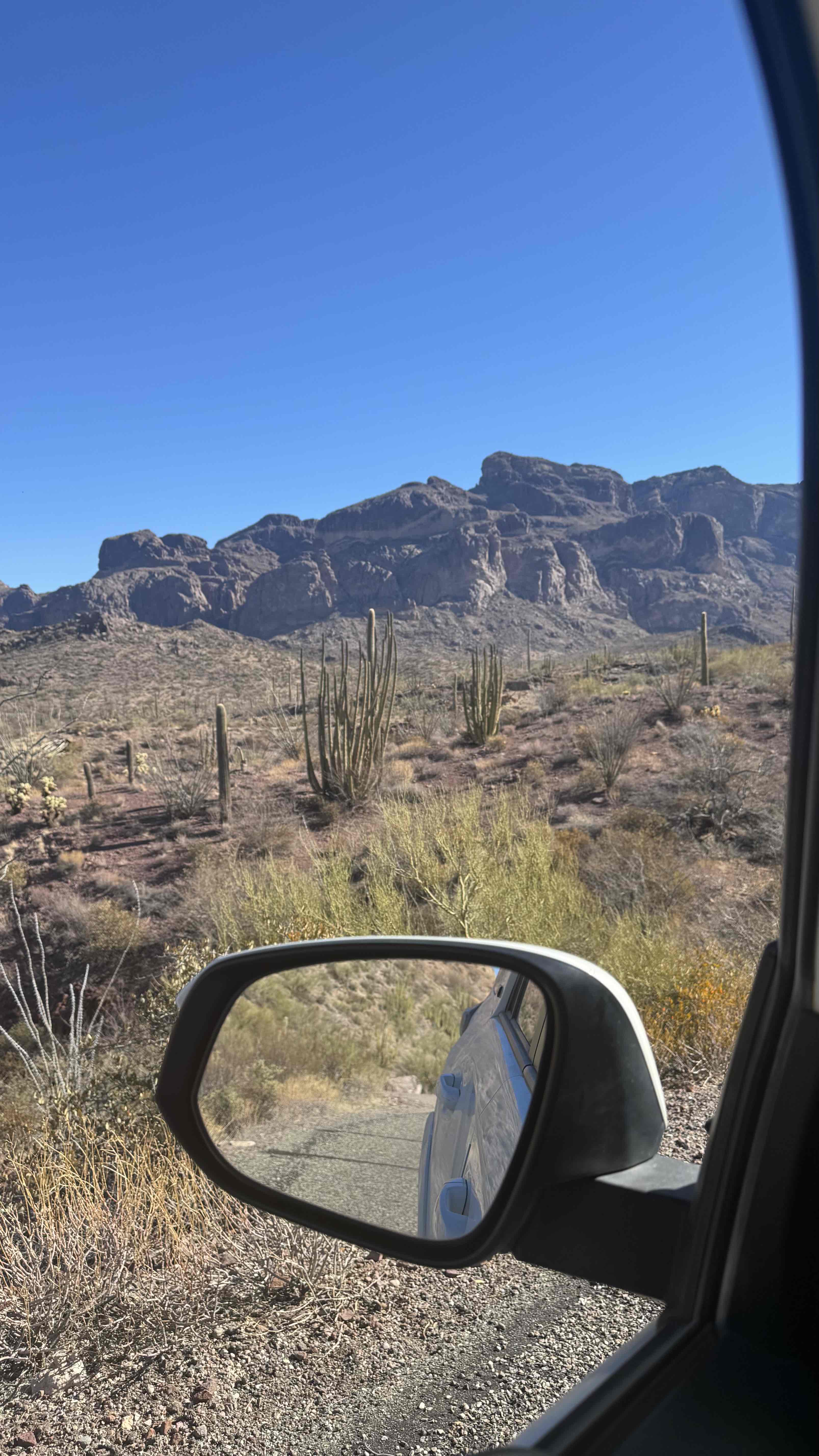 Ajo Mountain Drive