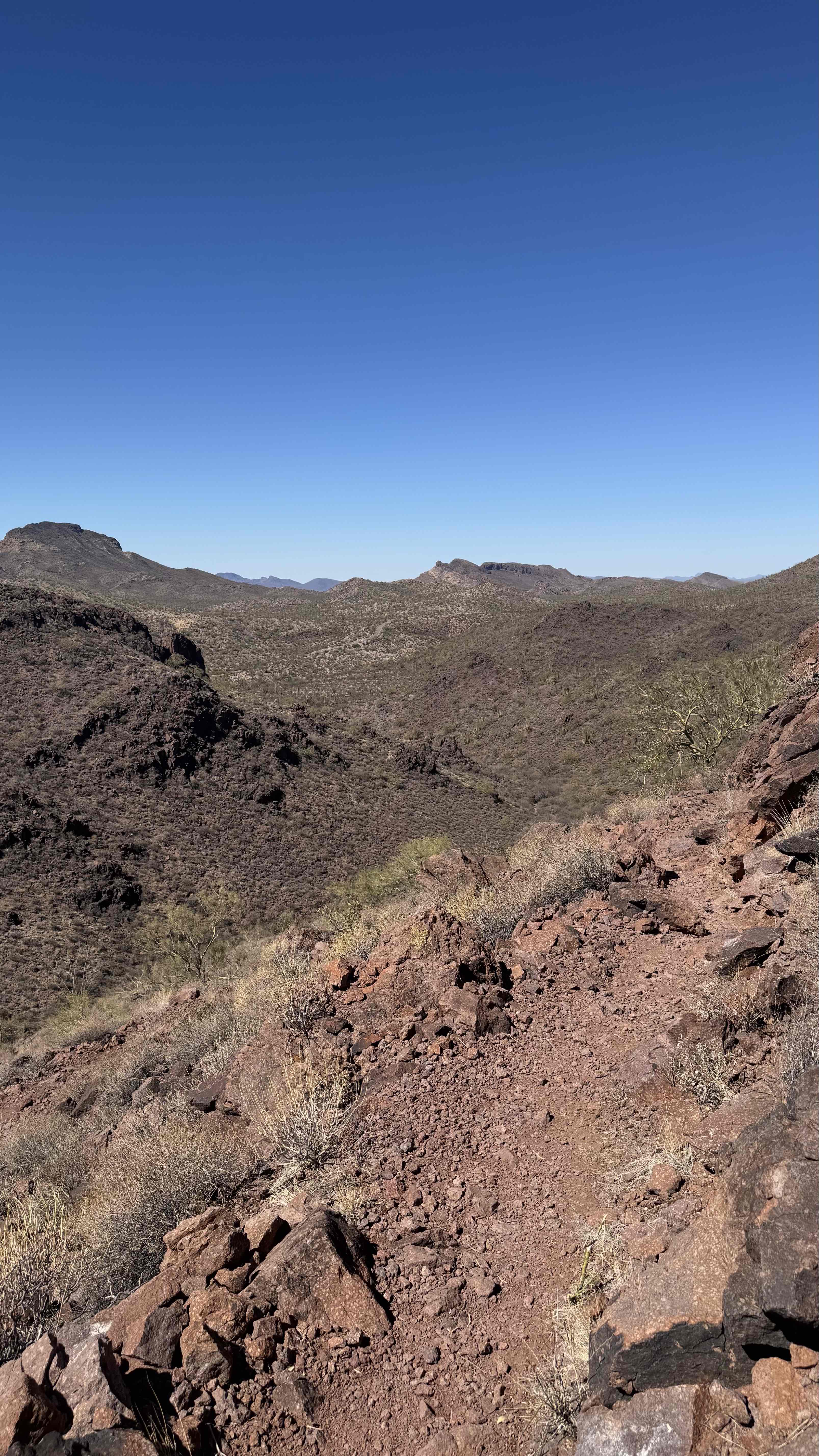 Ajo Mountain Drive