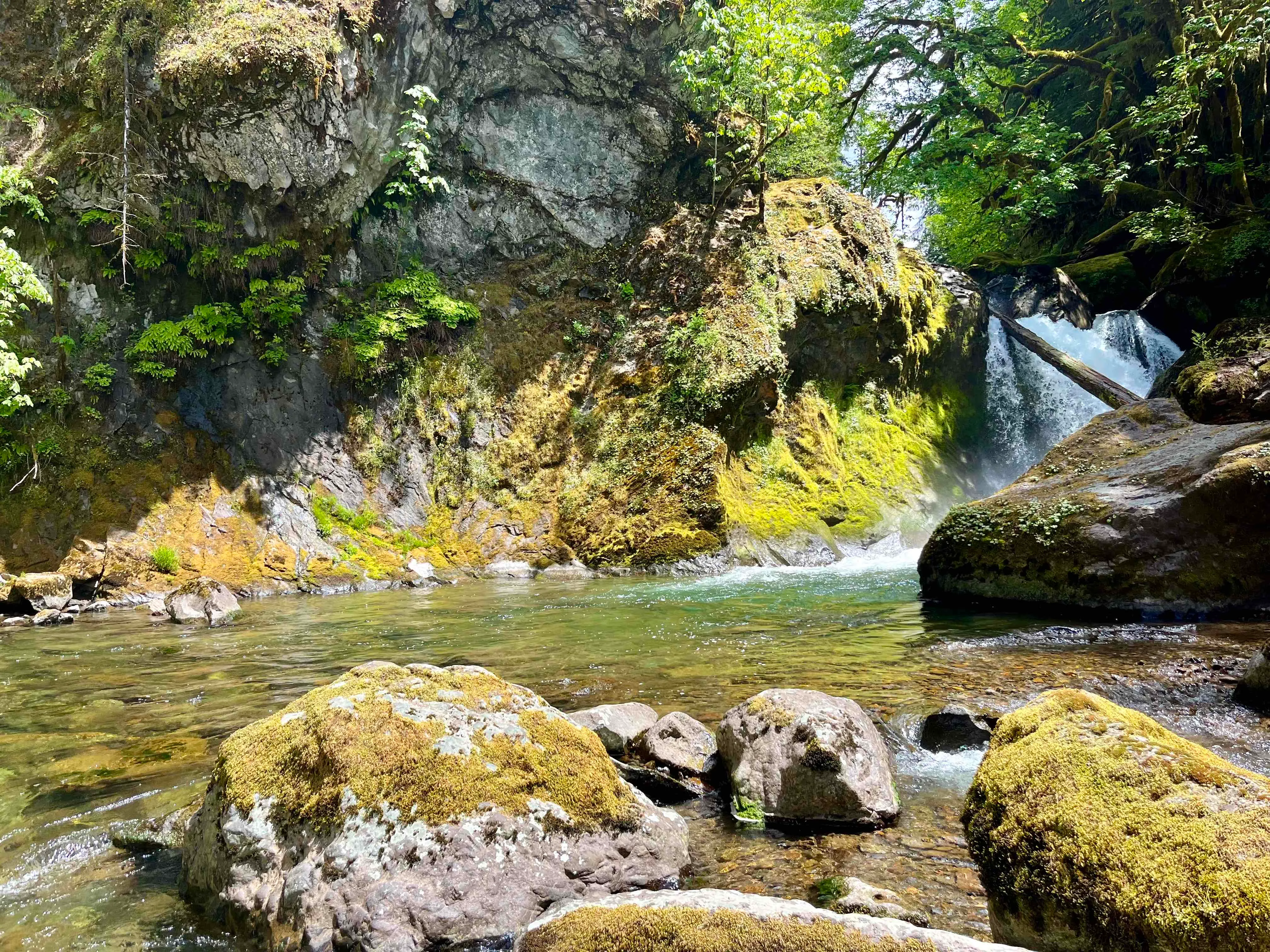 Santiam Wagon Road to House Rock
