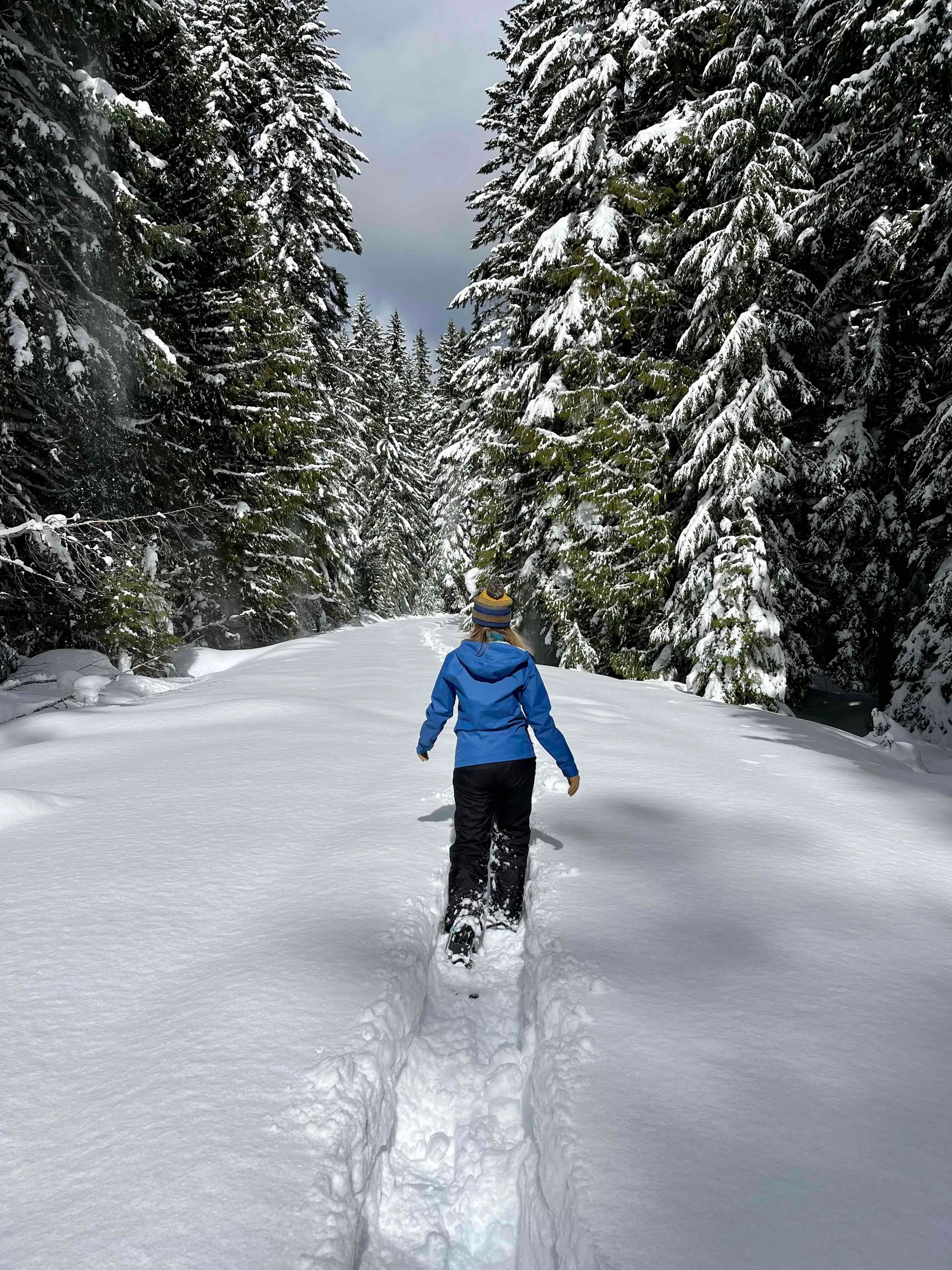 Isaac Nickerson Loop Trail