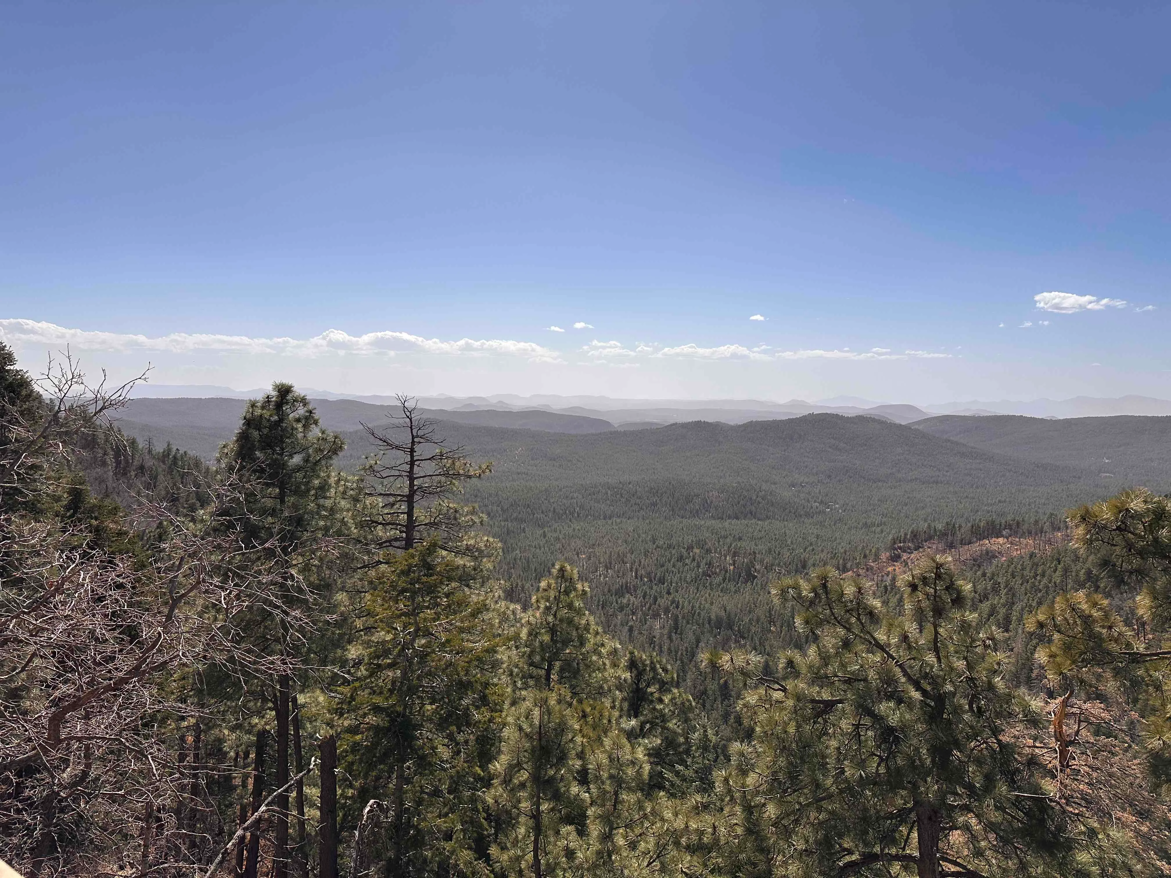 Rim Lakes Vista Trail #622