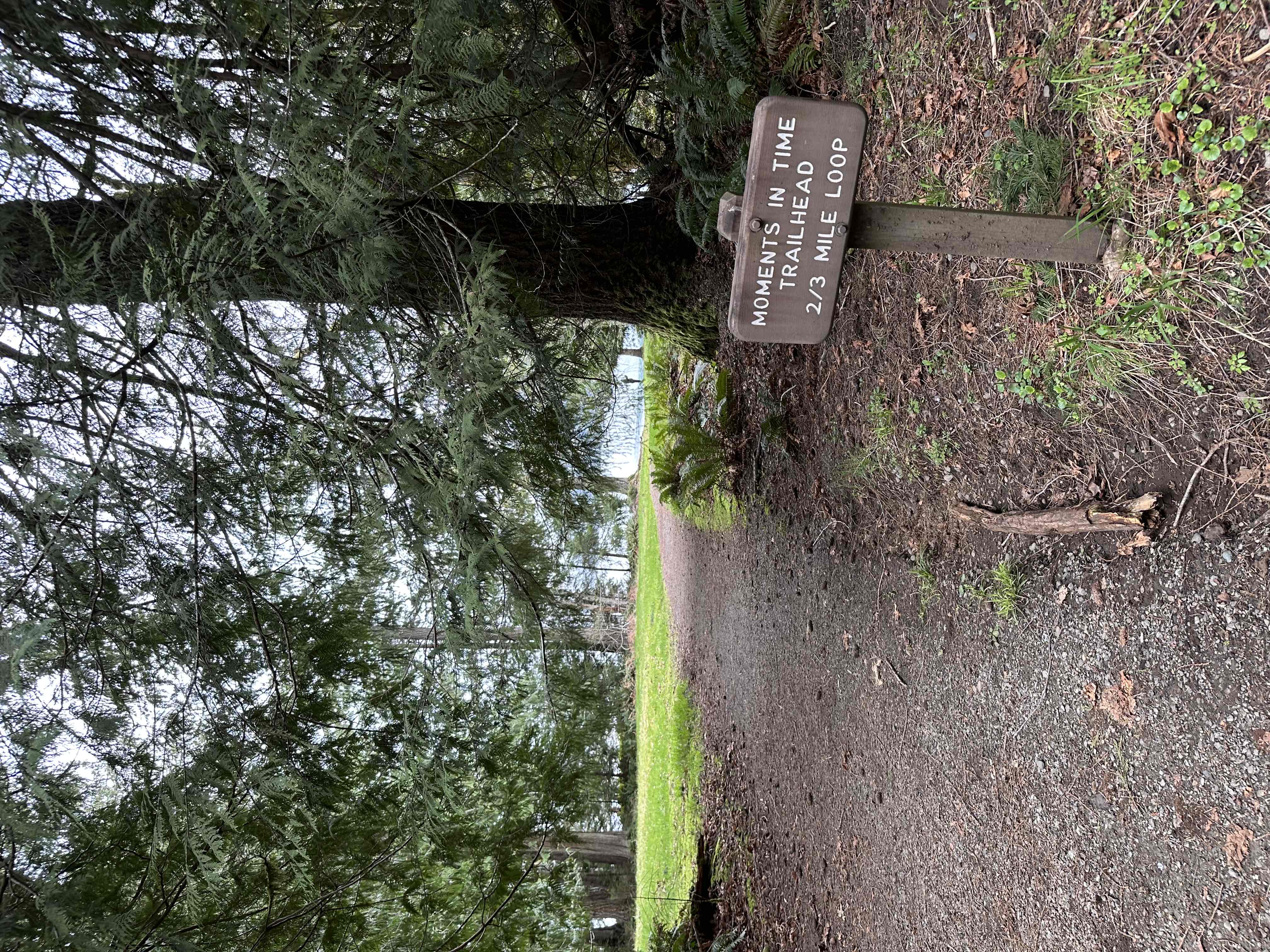 Moments in Time Trail