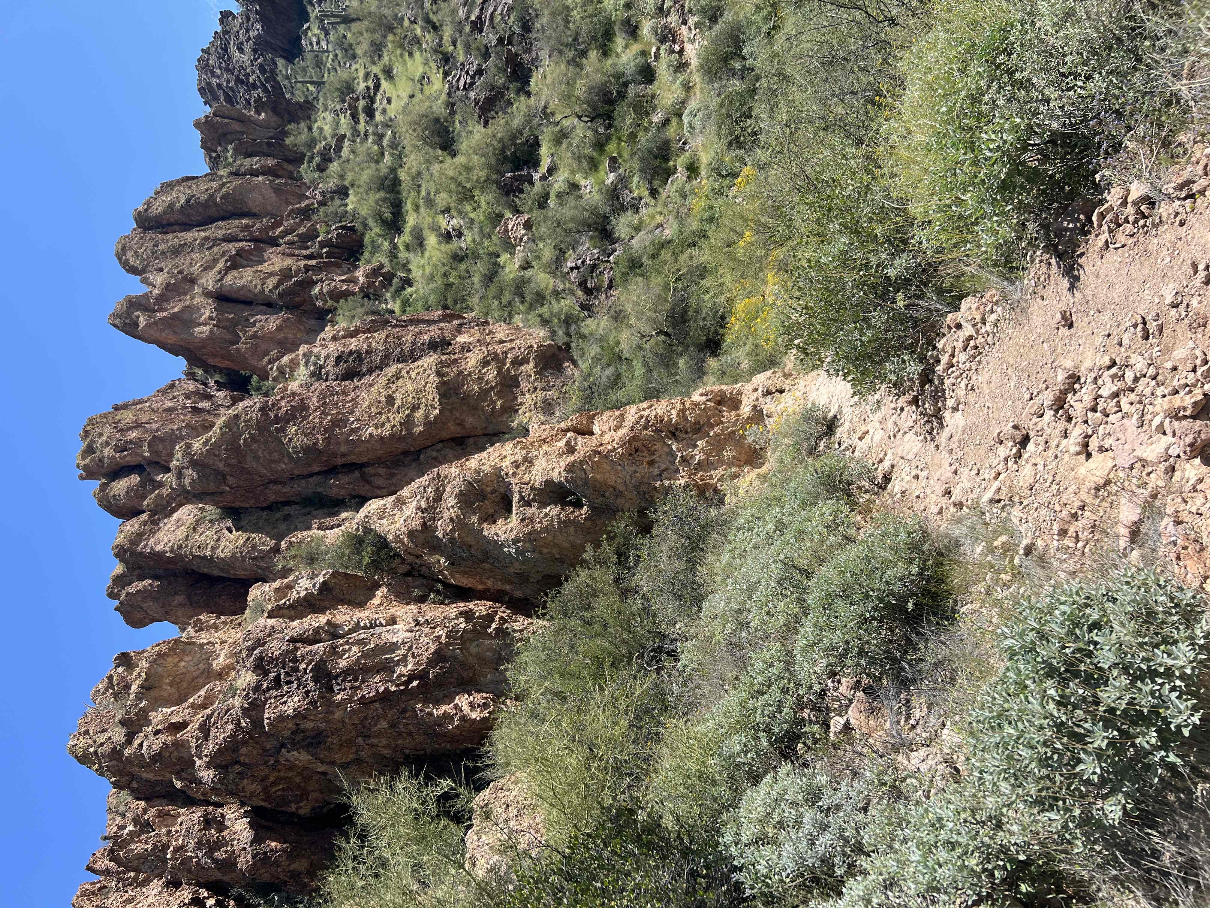 Boulder Canyon Trail
