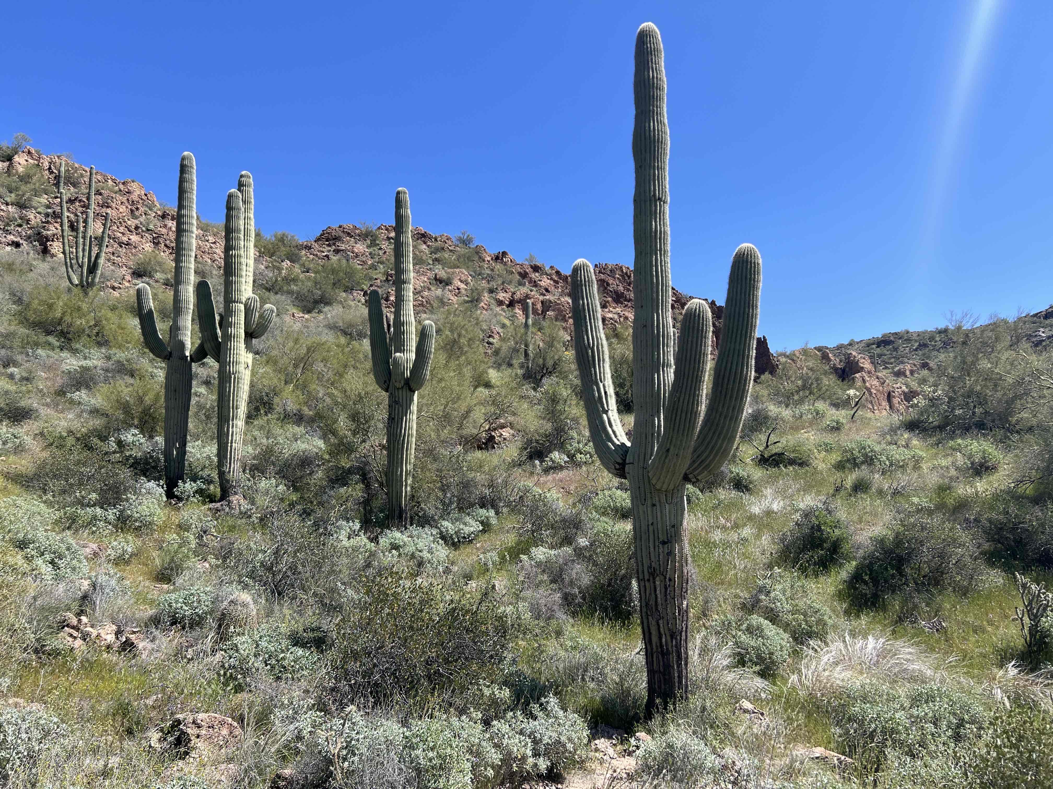 Boulder Canyon Trail