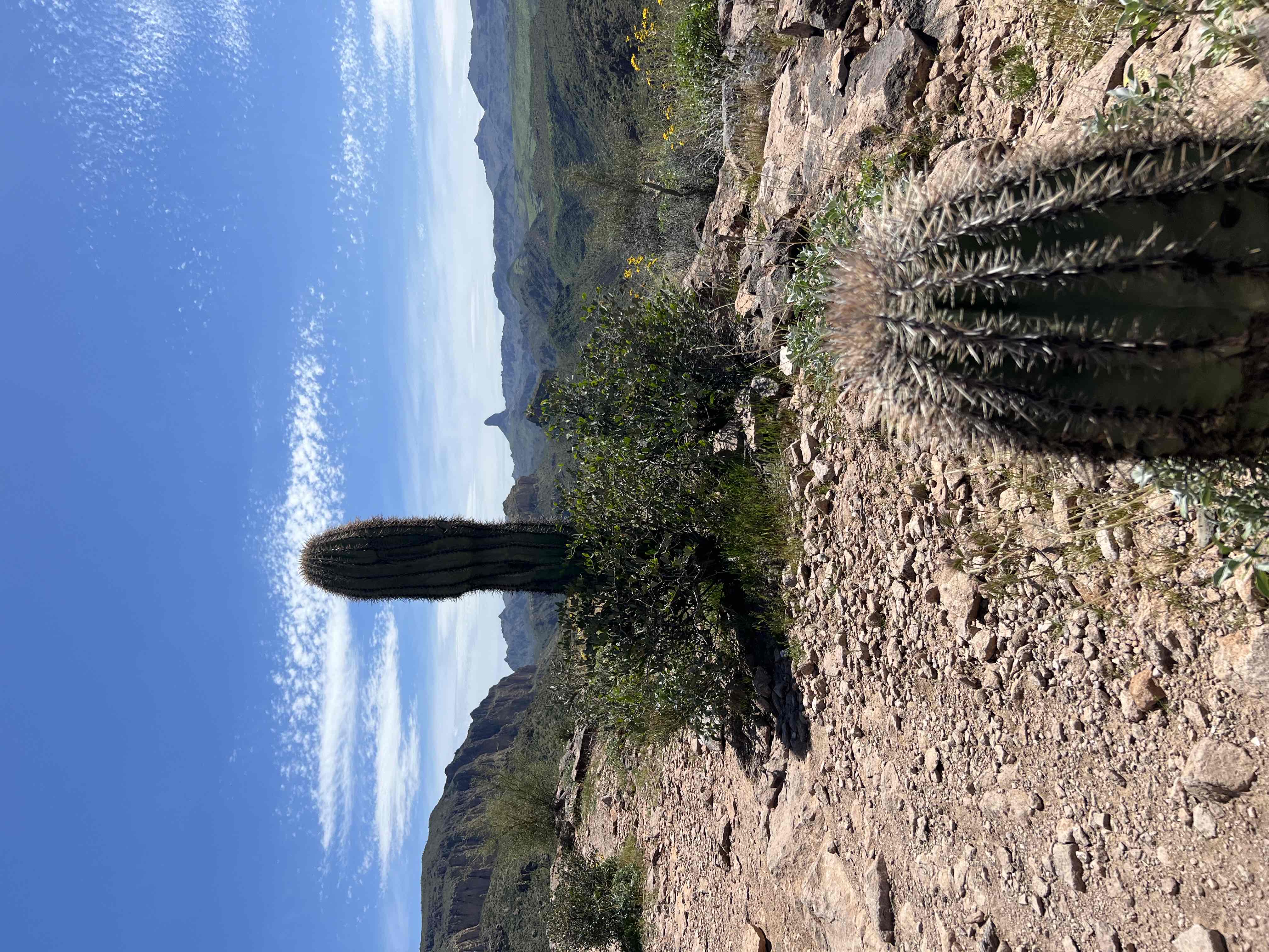 Boulder Canyon Trail