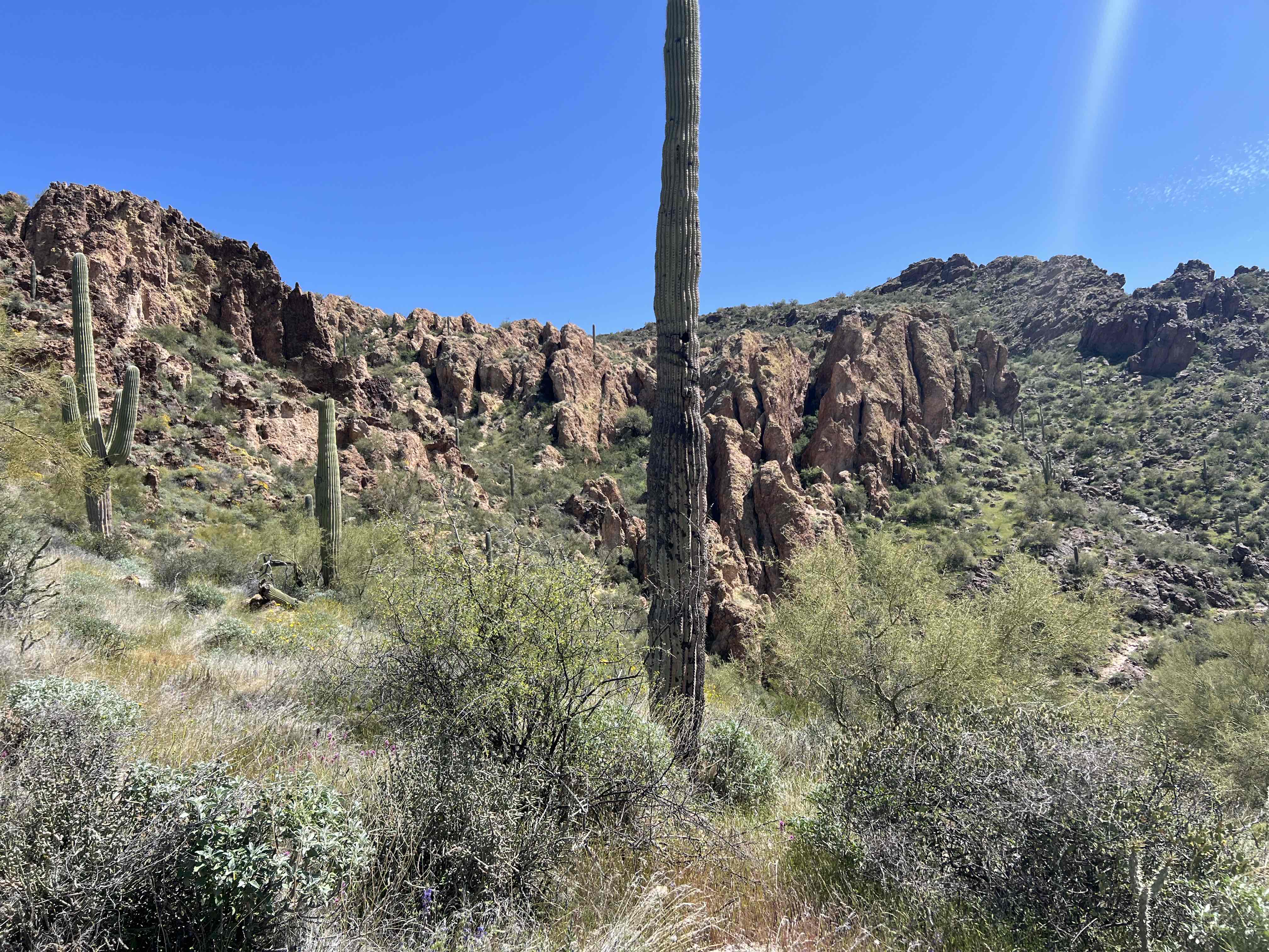 Boulder Canyon Trail
