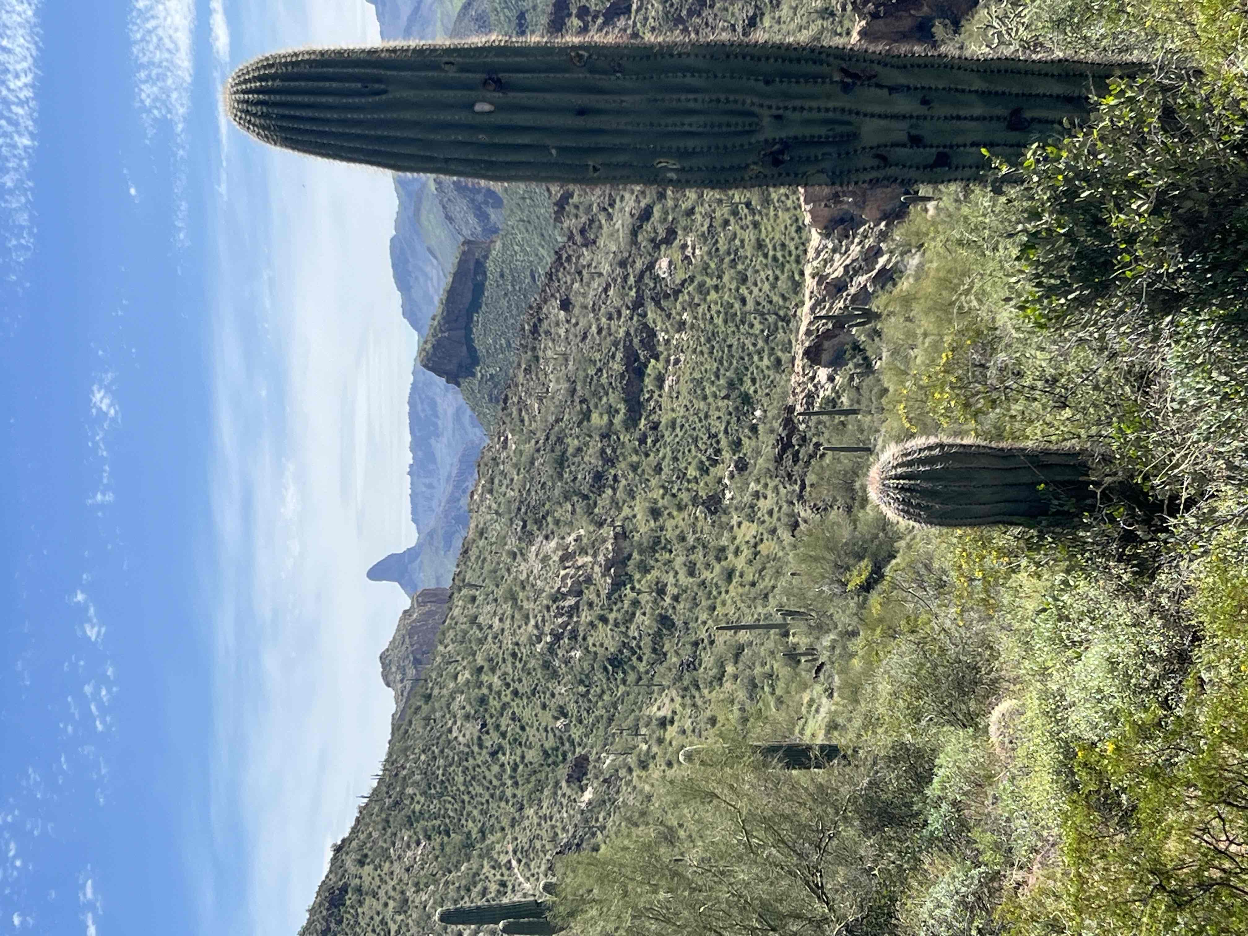 Boulder Canyon Trail