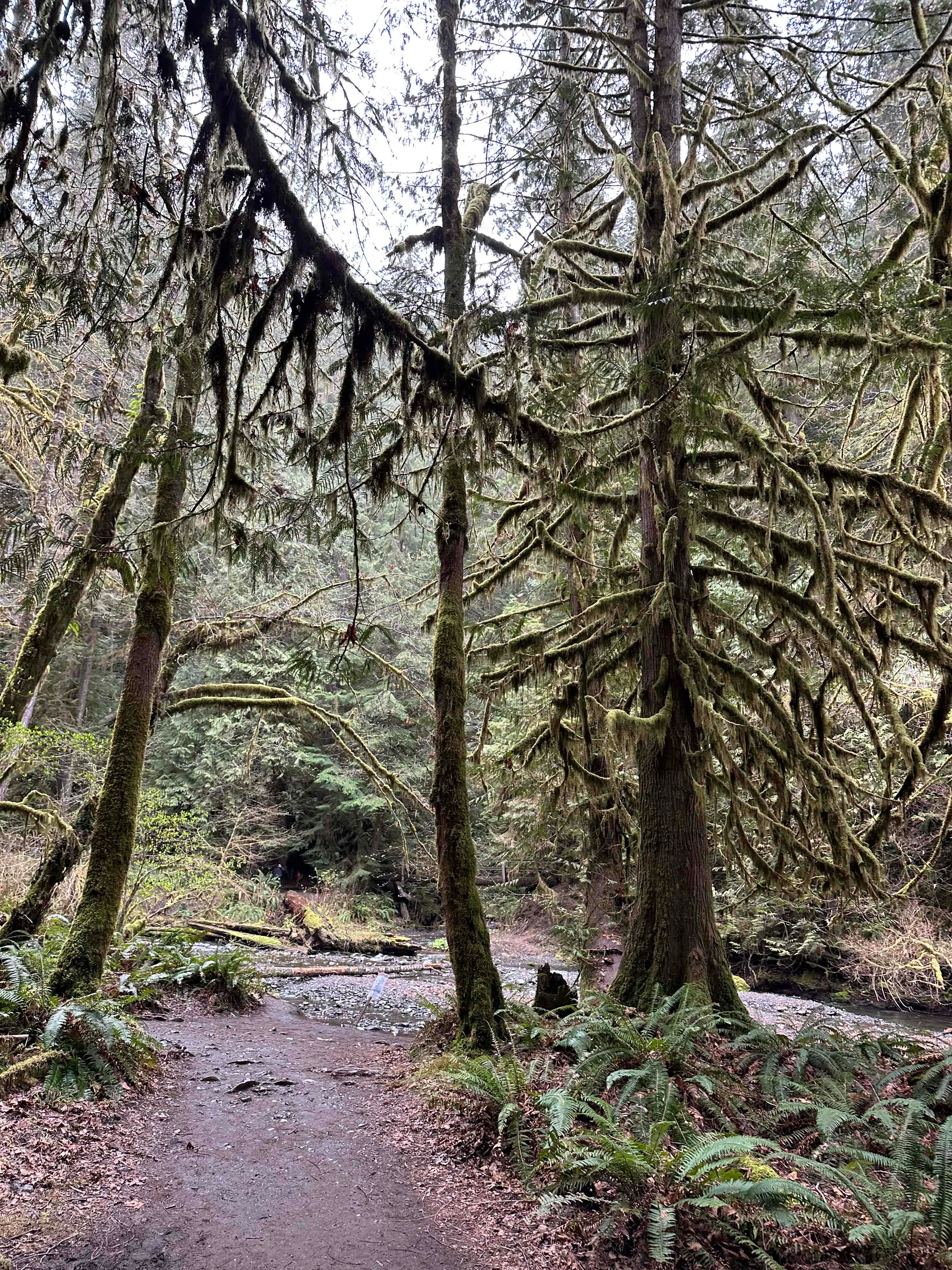 Marymere Falls