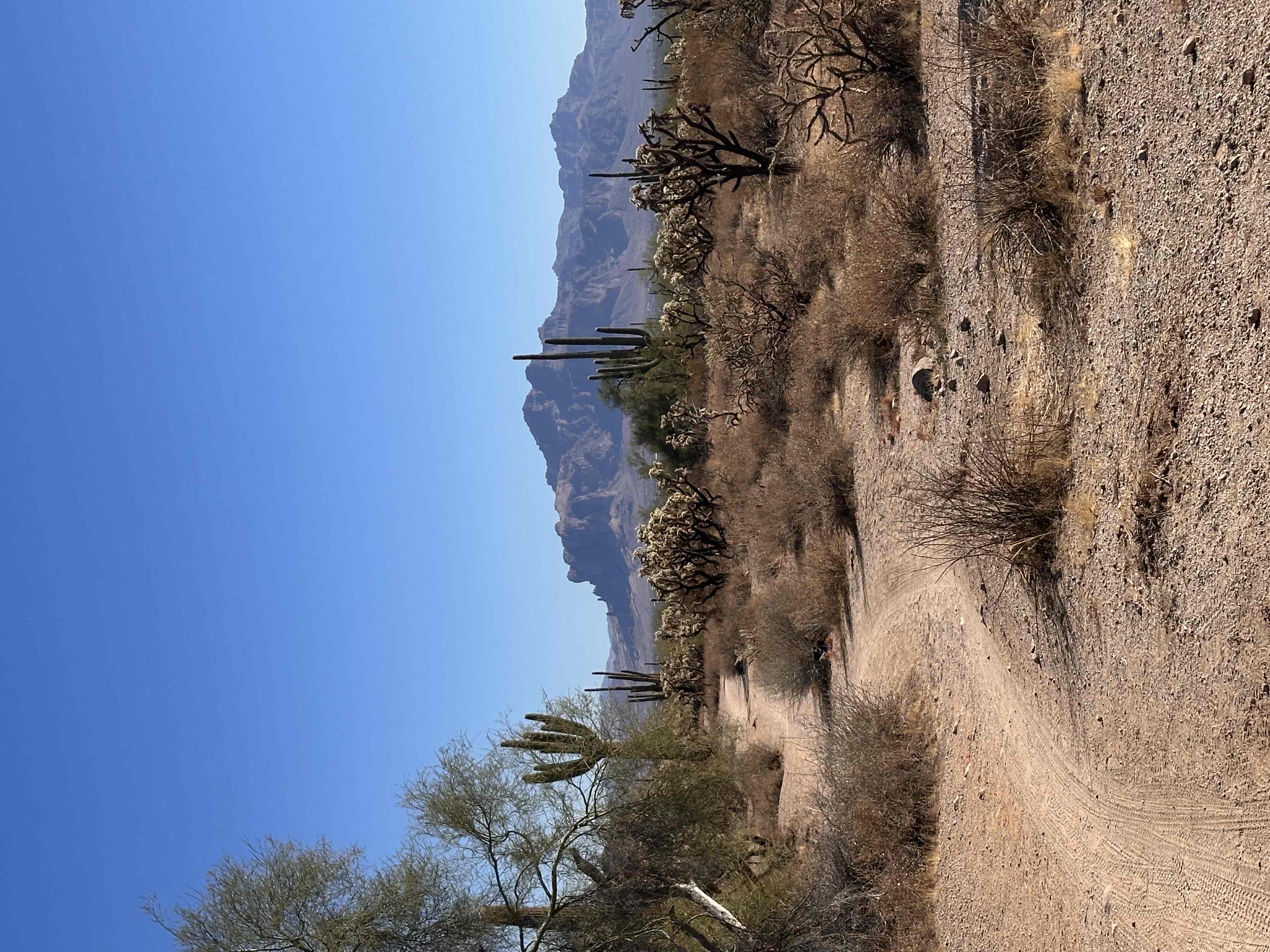 Usery Mountain