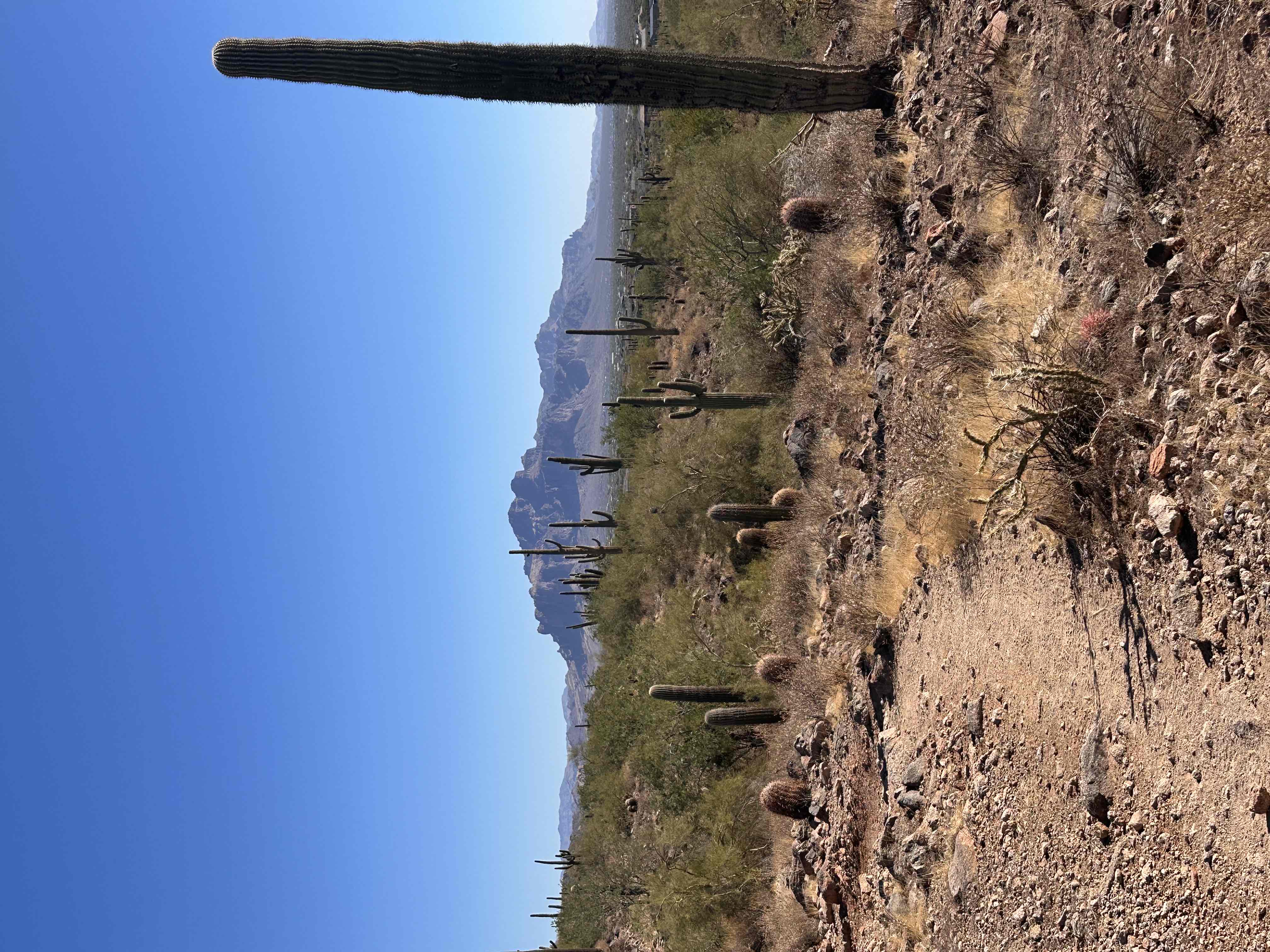 Usery Mountain
