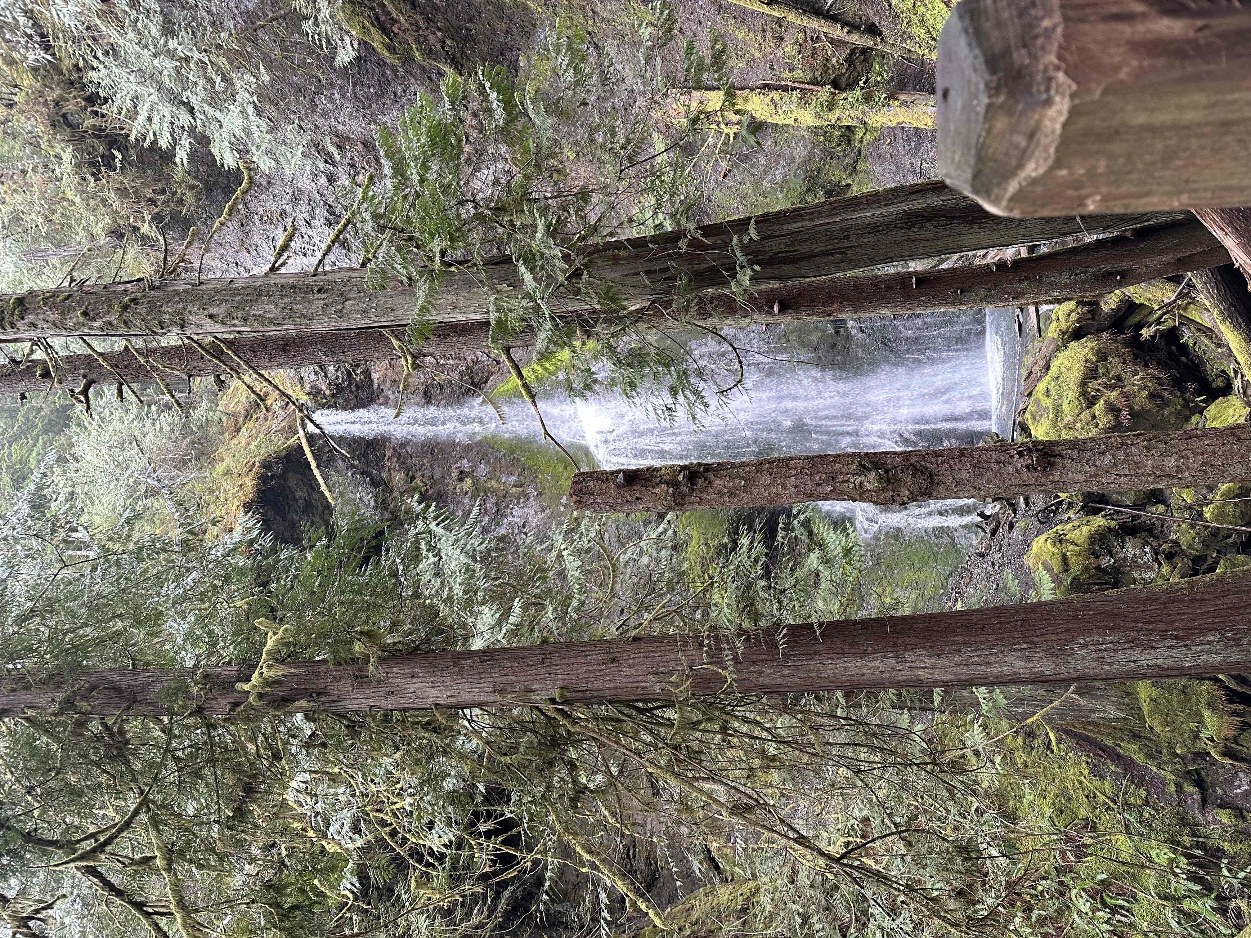 Marymere Falls