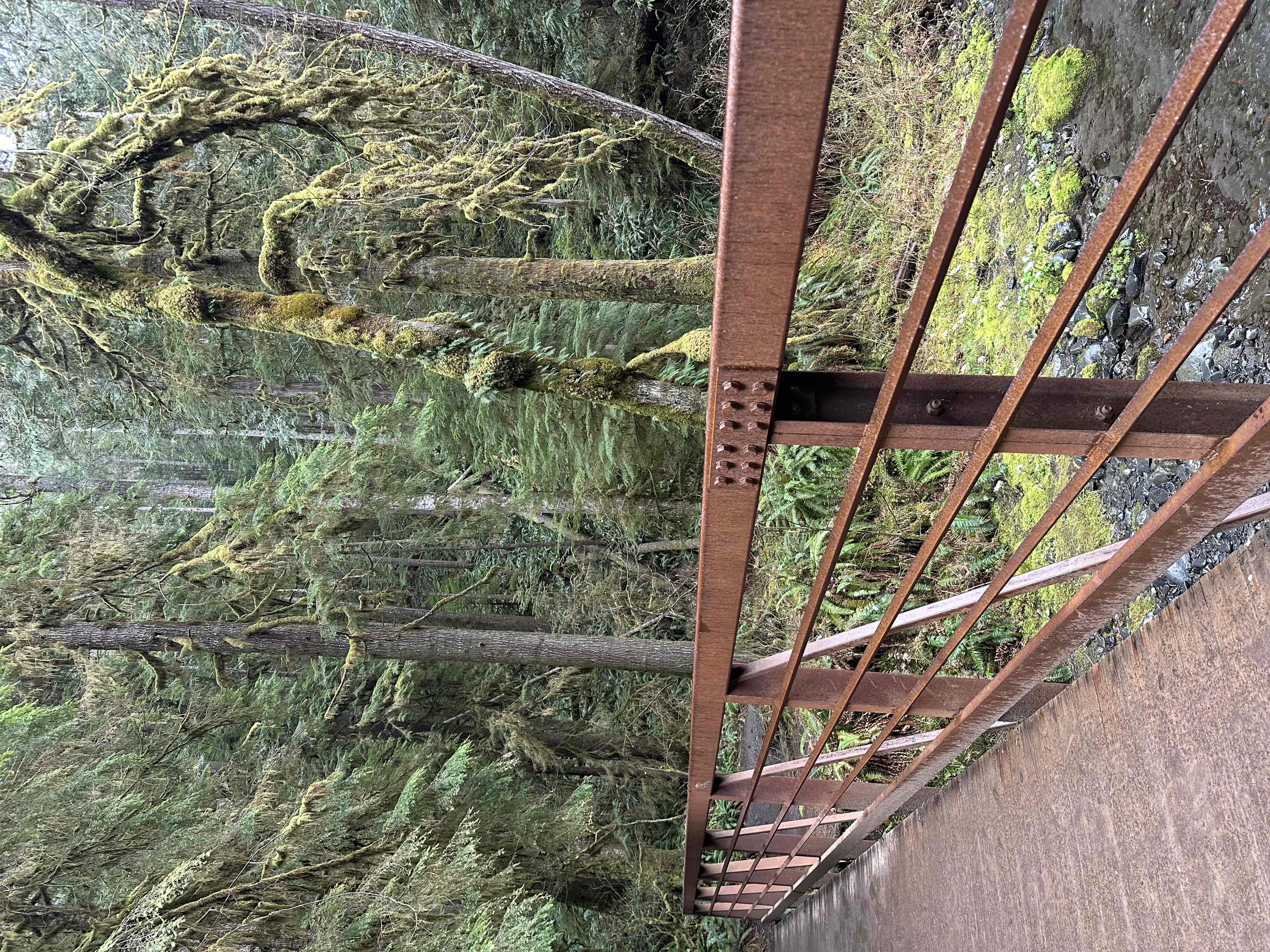 Marymere Falls