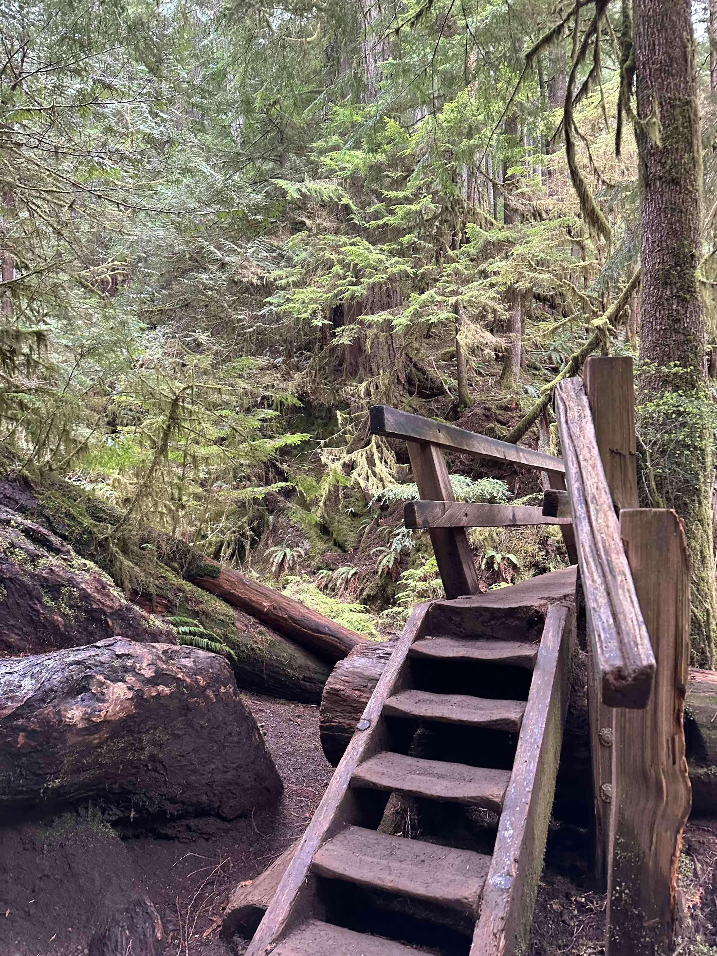 Marymere Falls