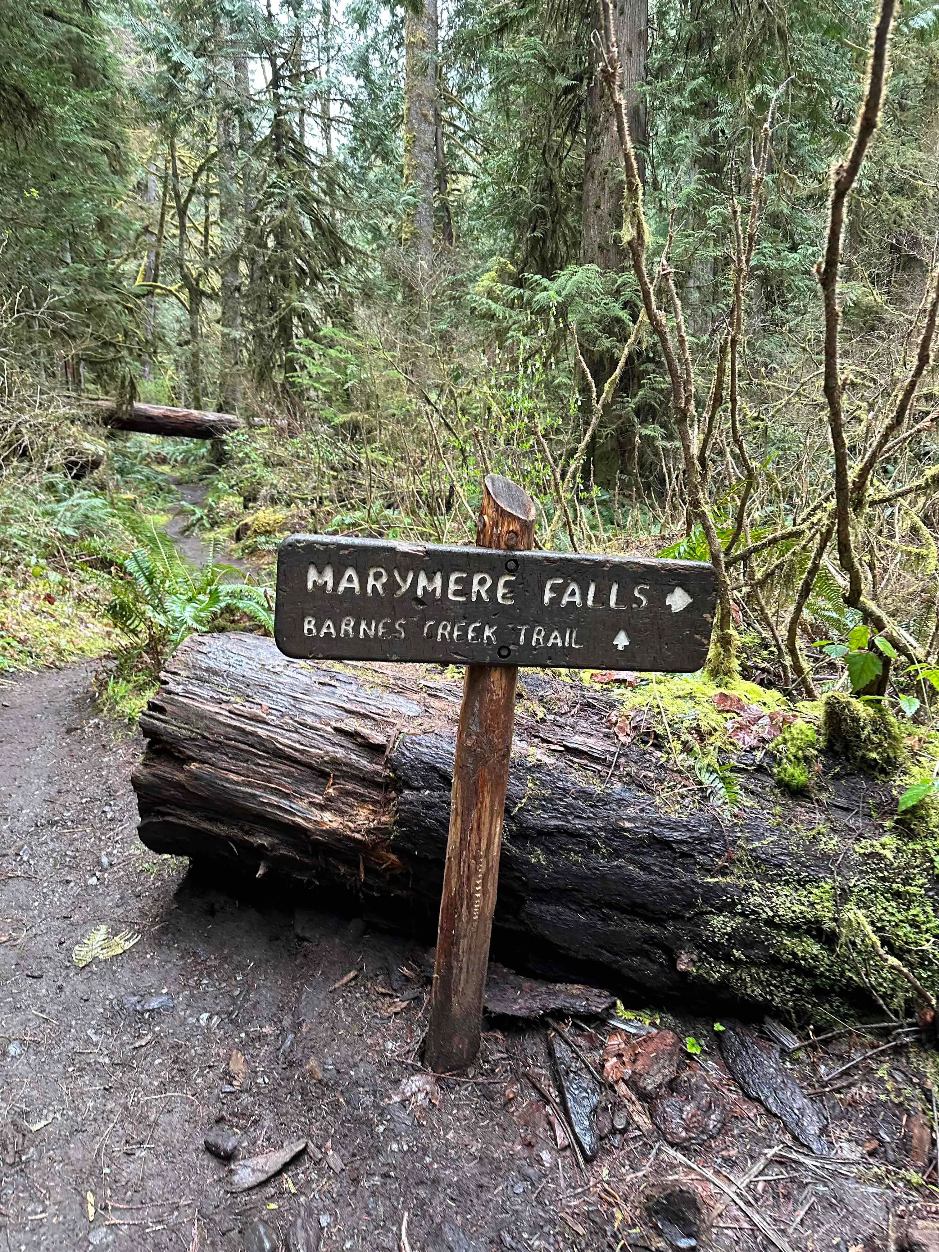 Marymere Falls