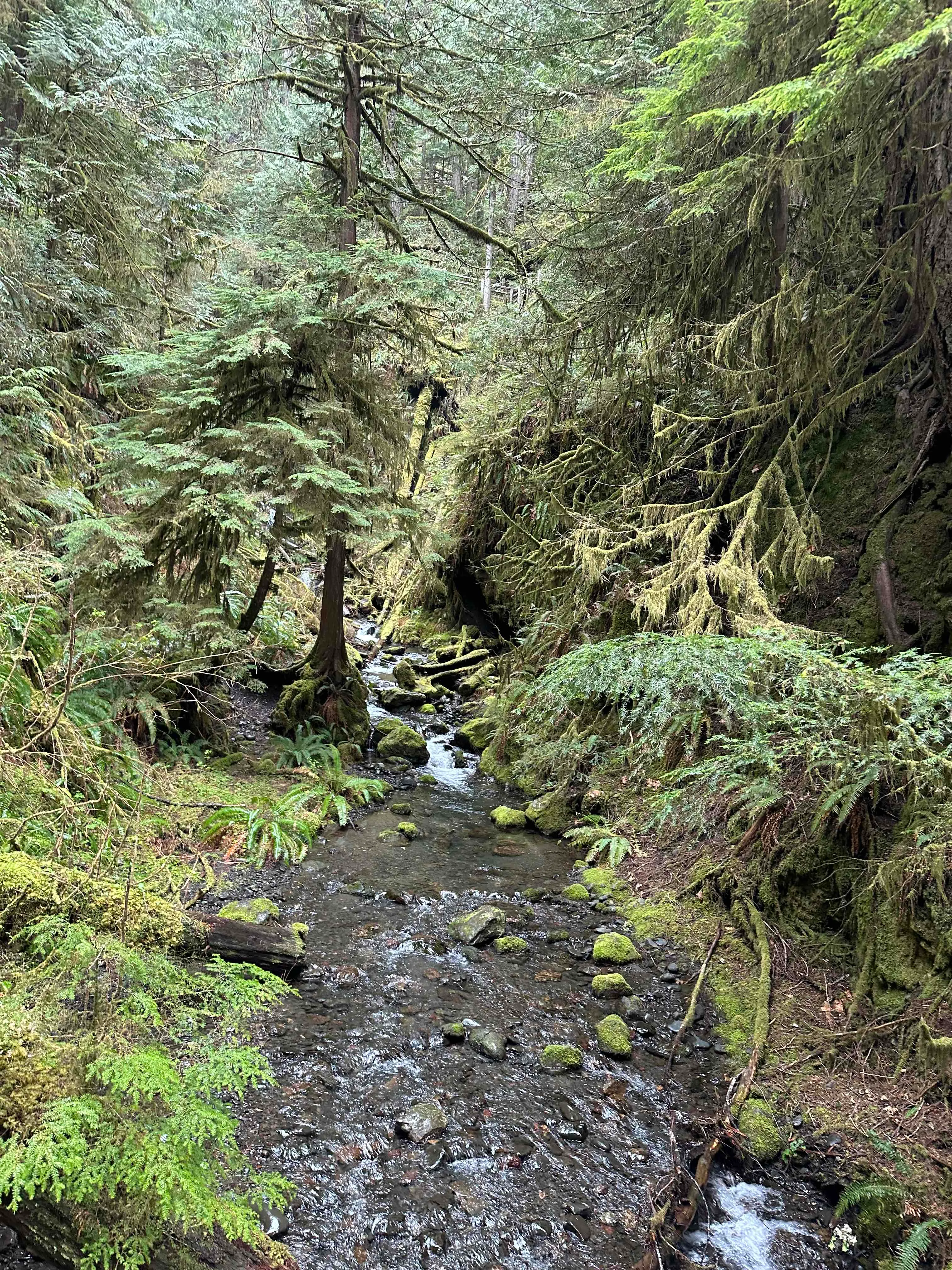 Marymere Falls