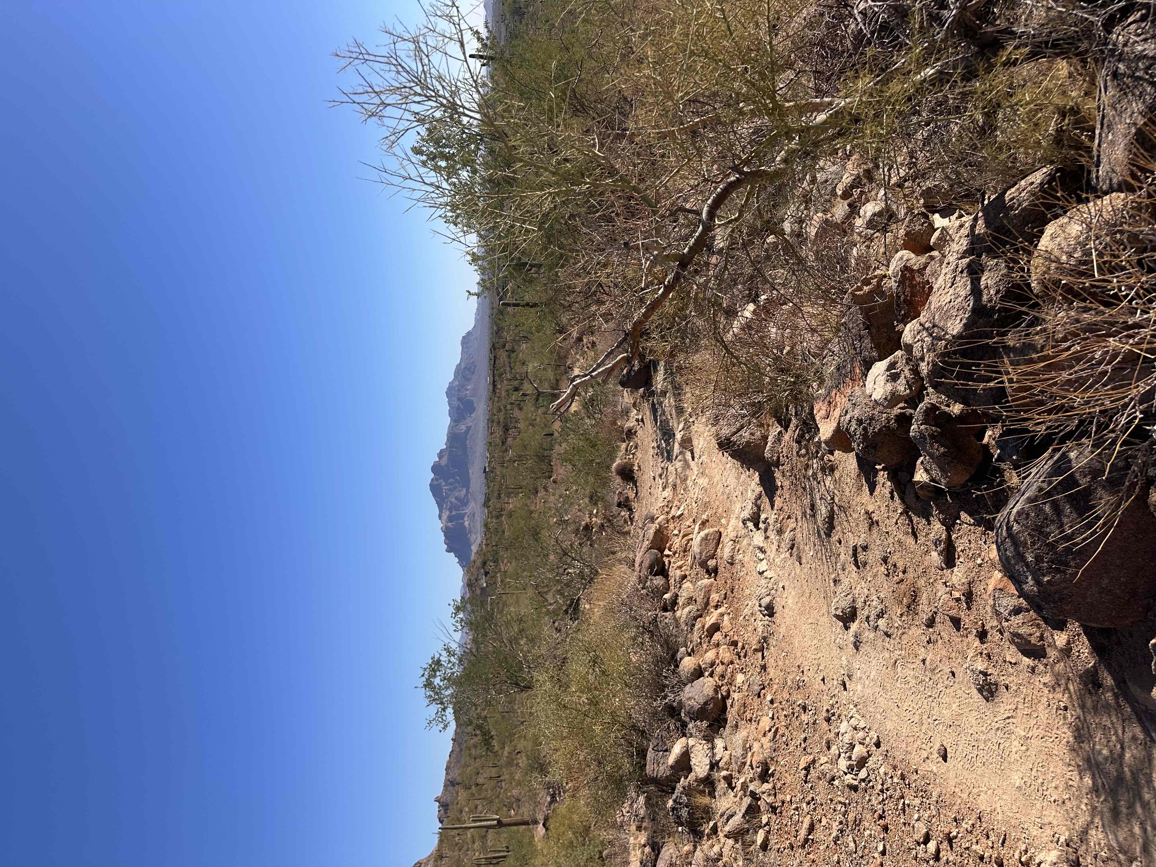 Usery Mountain