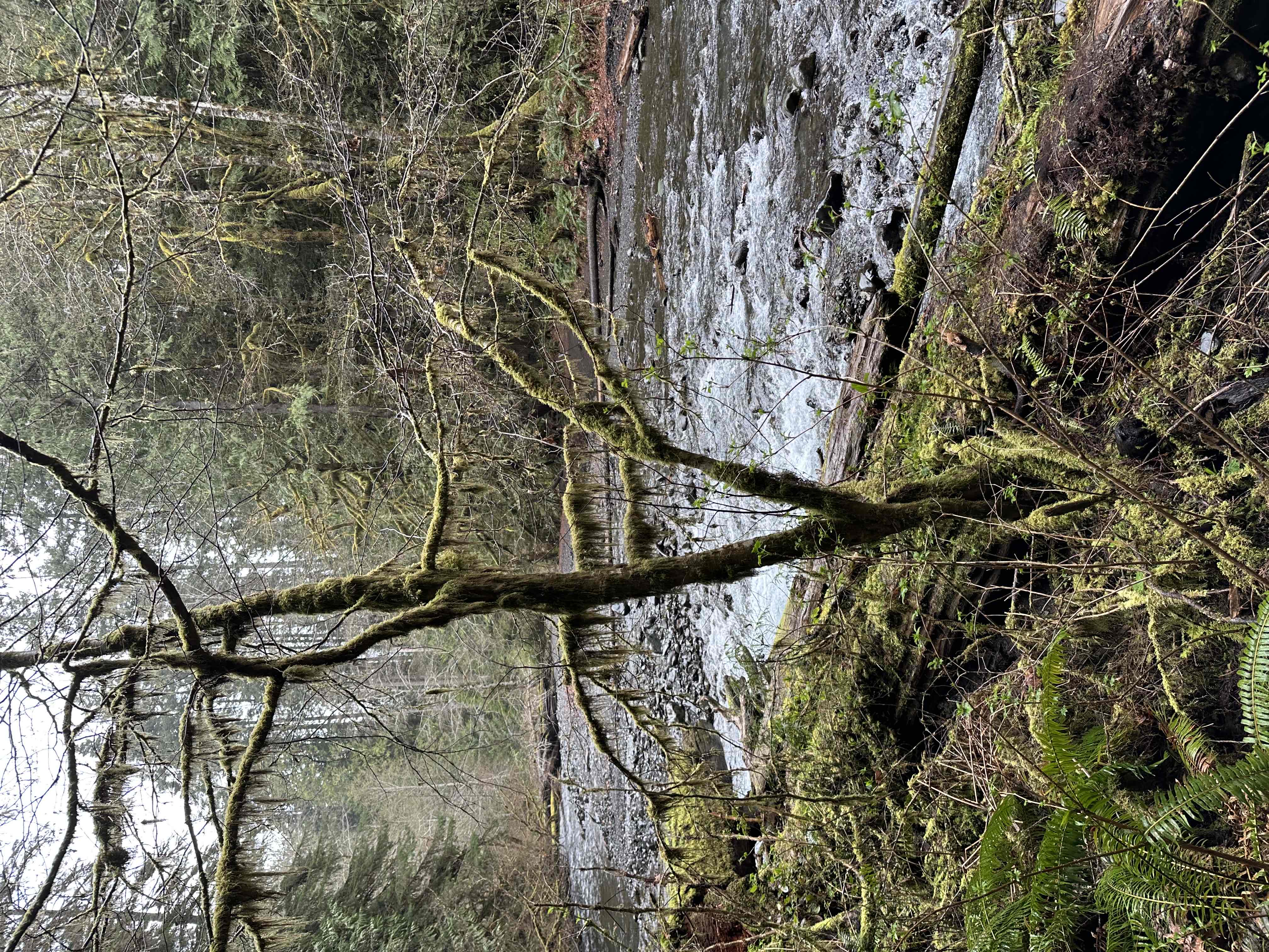 Marymere Falls