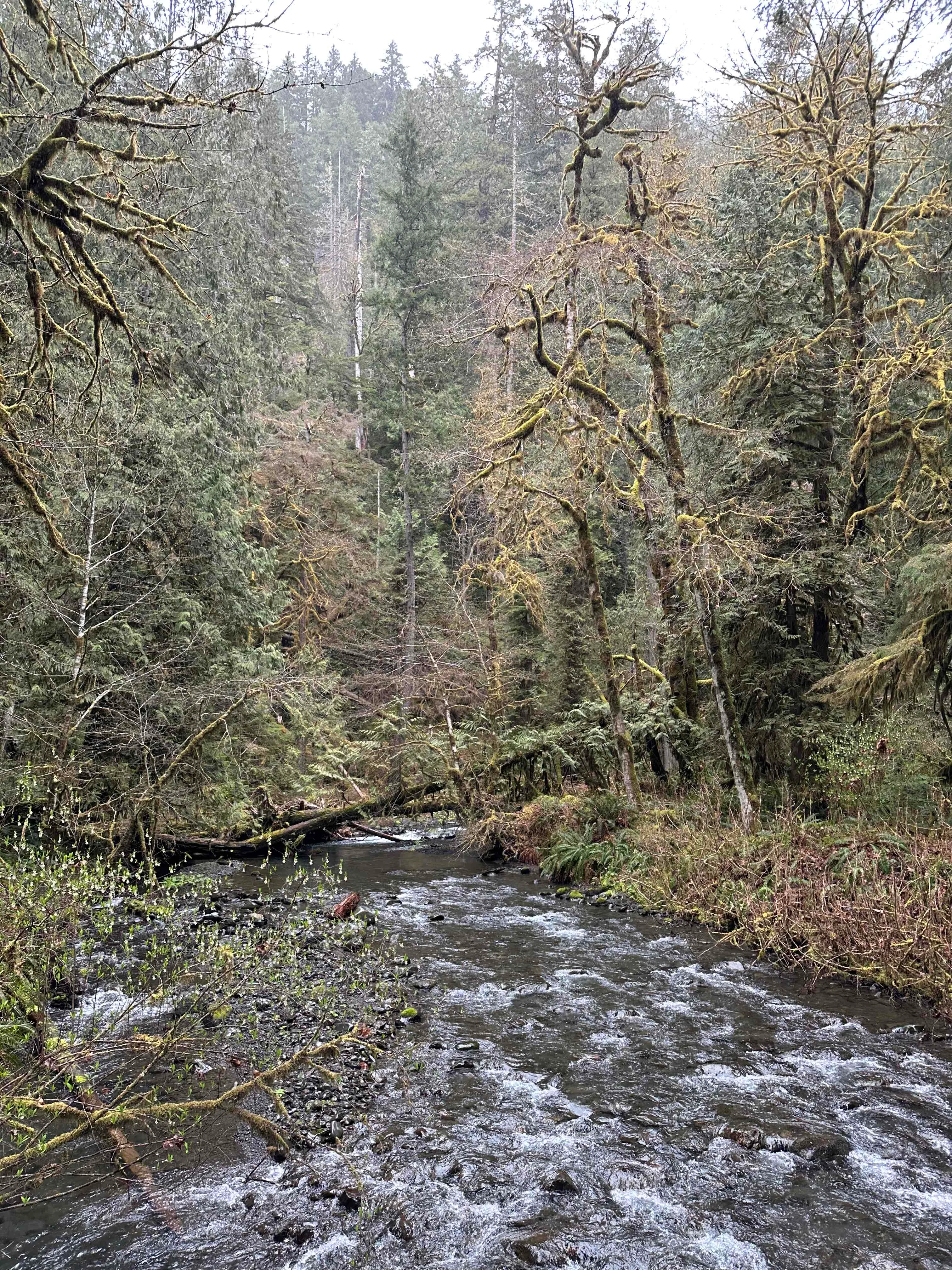 Marymere Falls