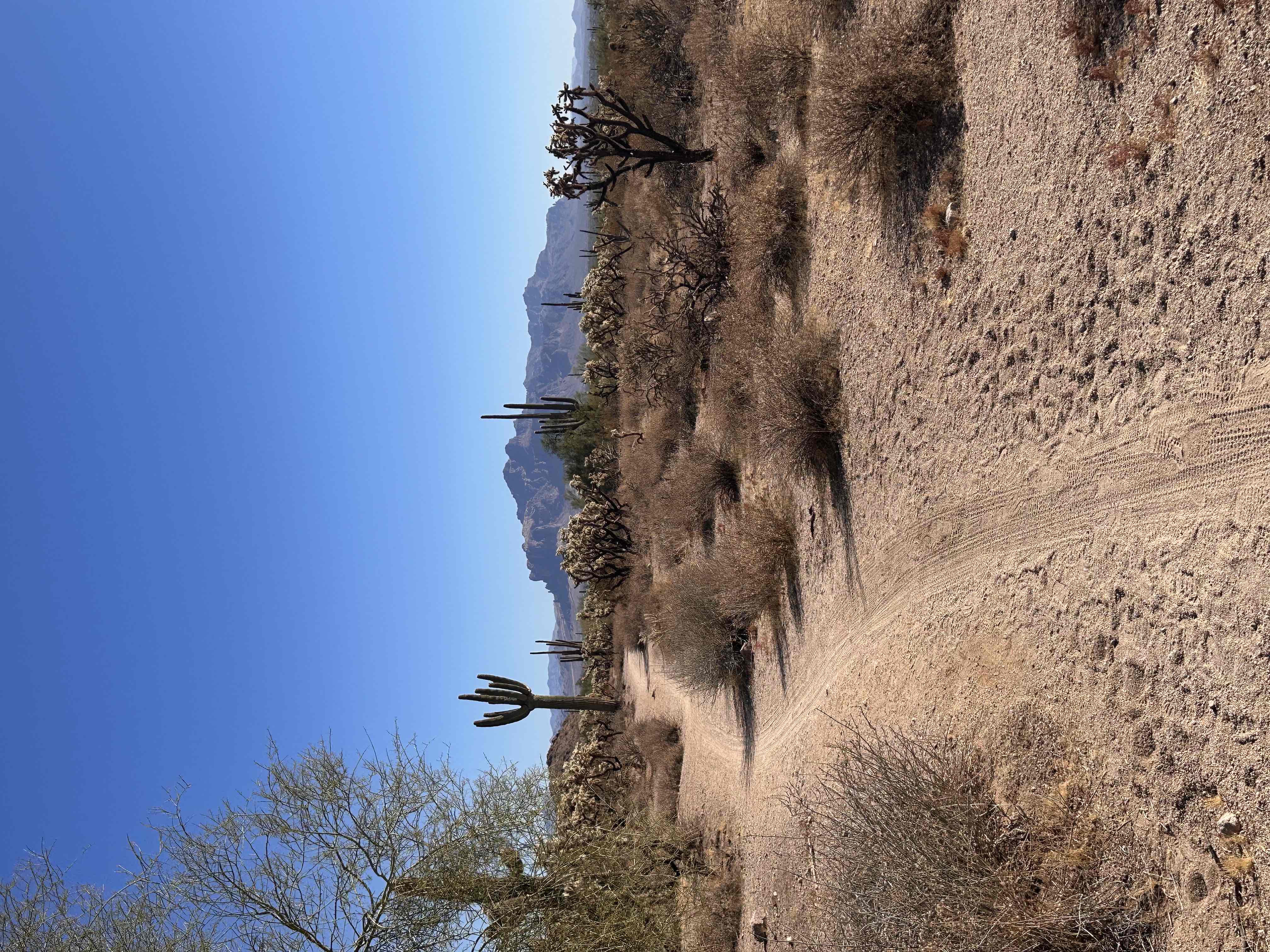 Usery Mountain