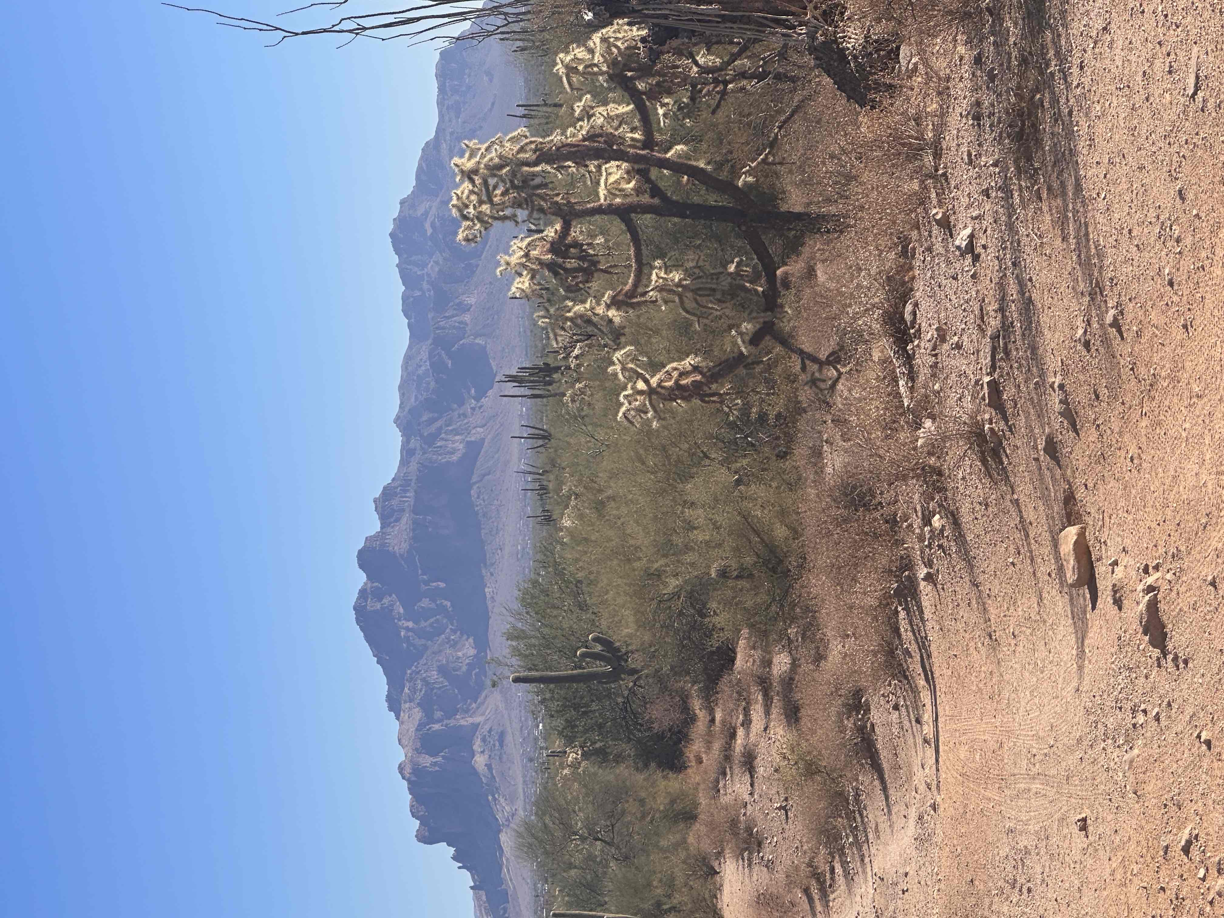 Usery Mountain