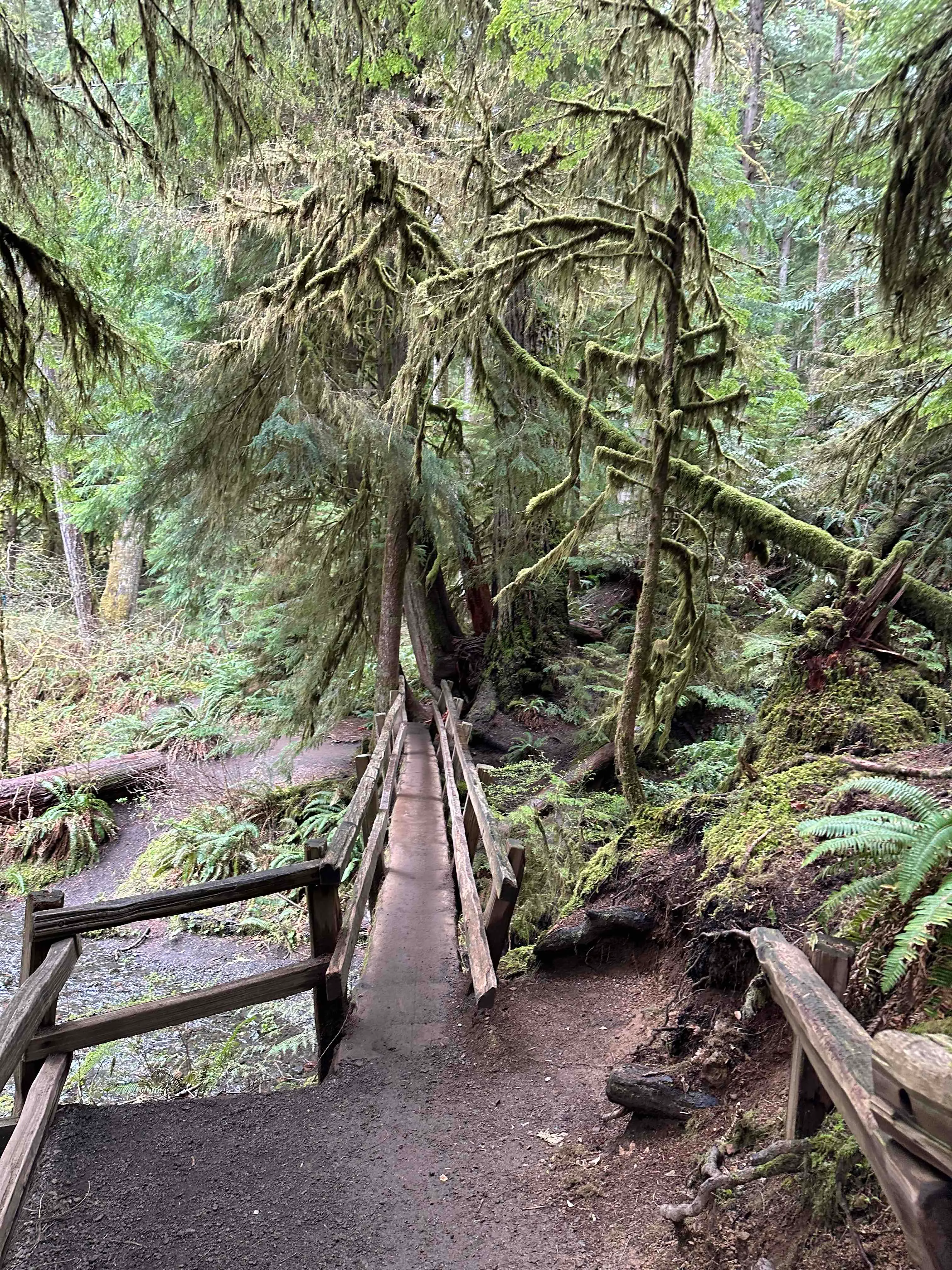 Marymere Falls