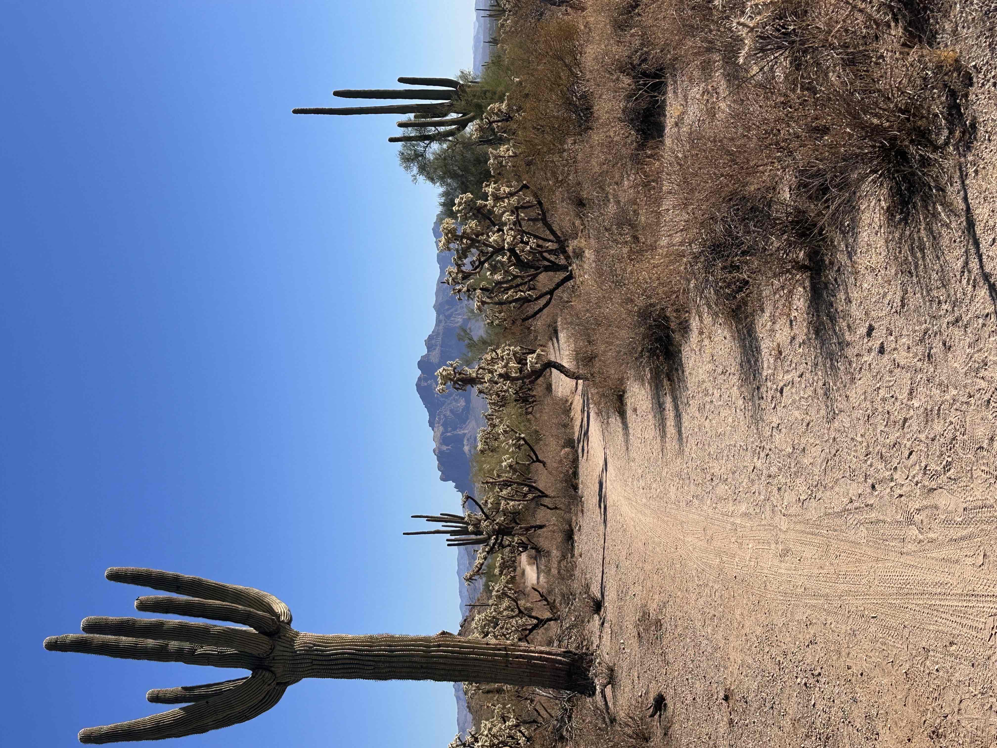 Usery Mountain