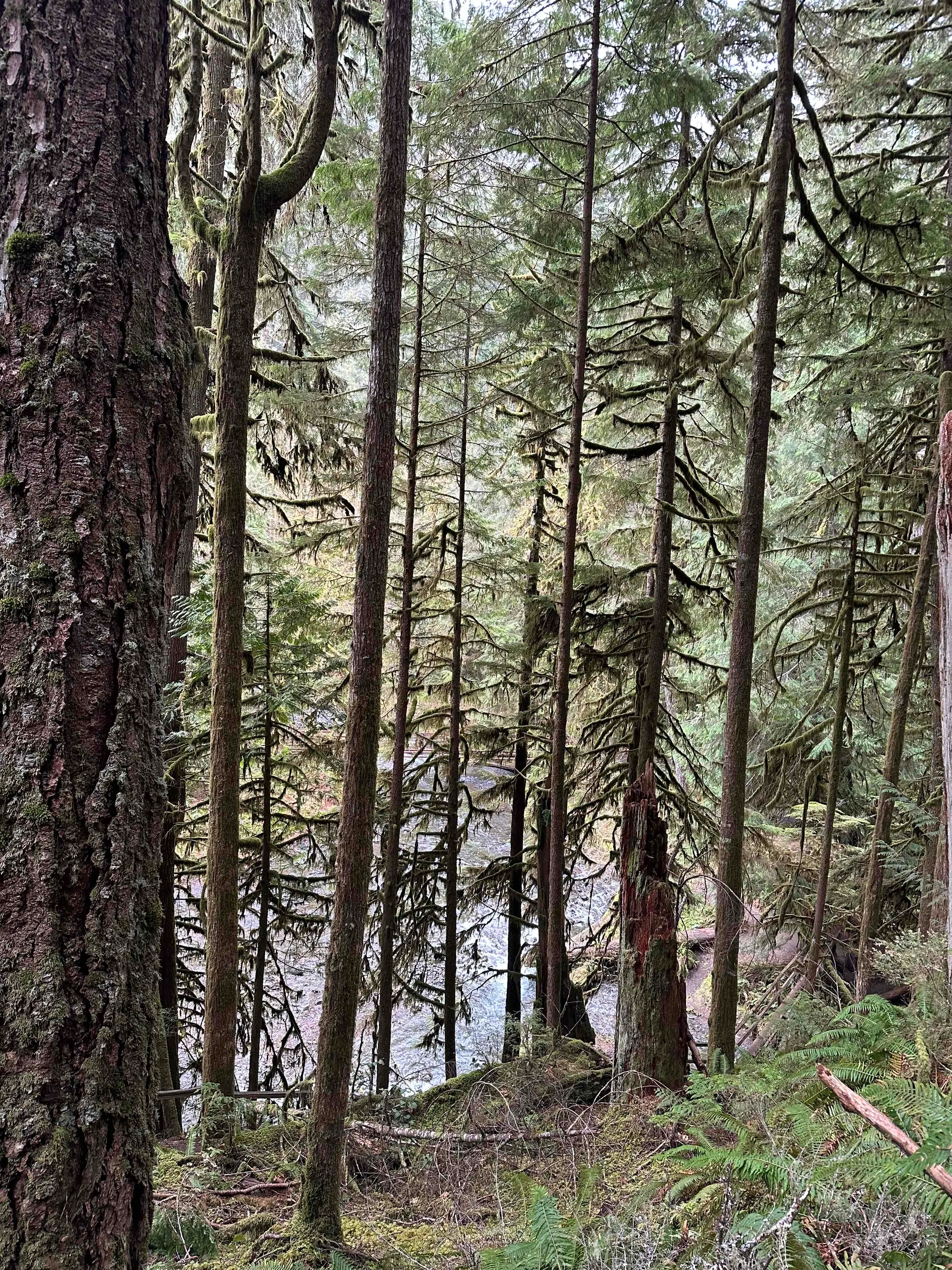 Marymere Falls