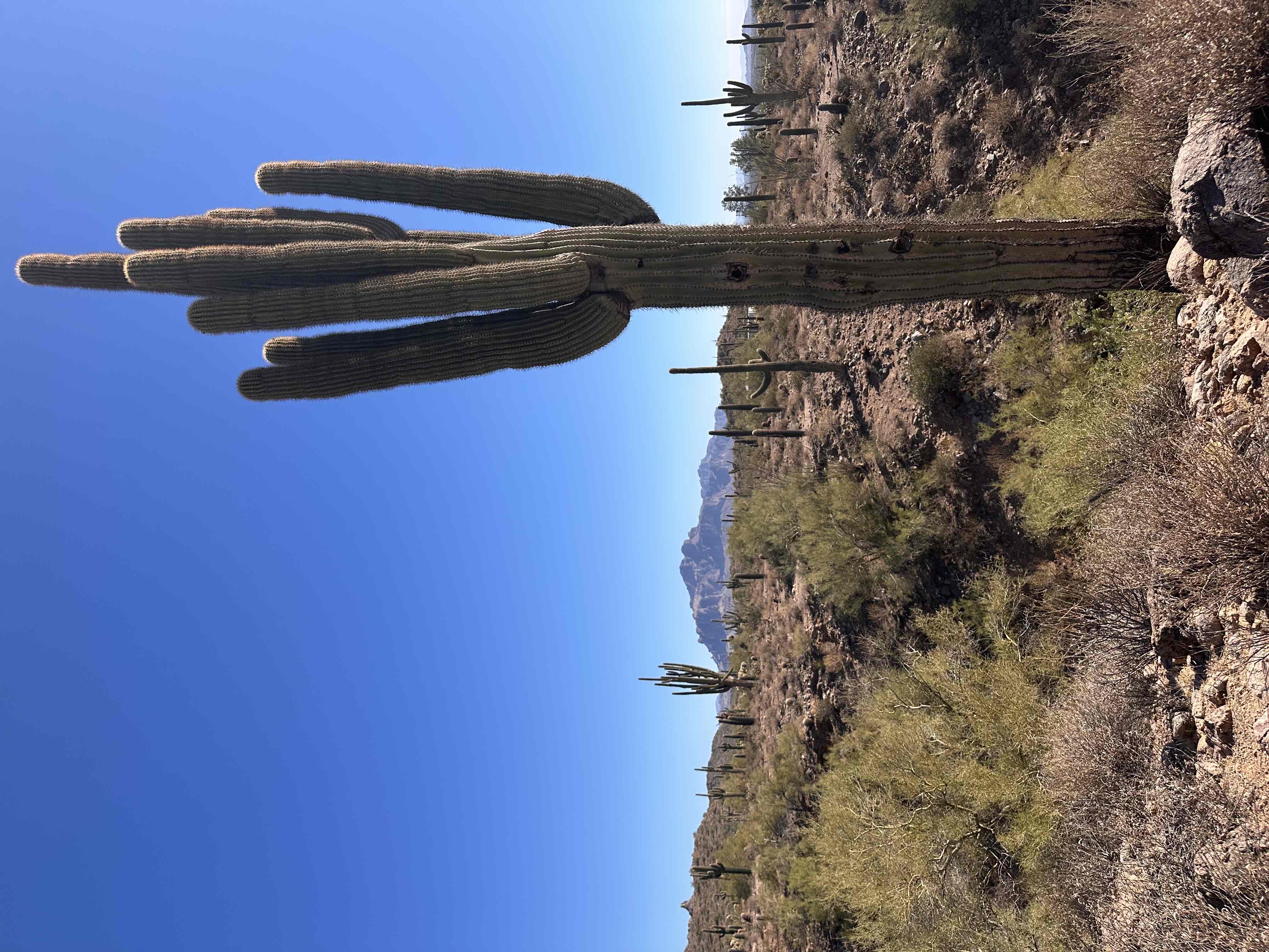 Usery Mountain