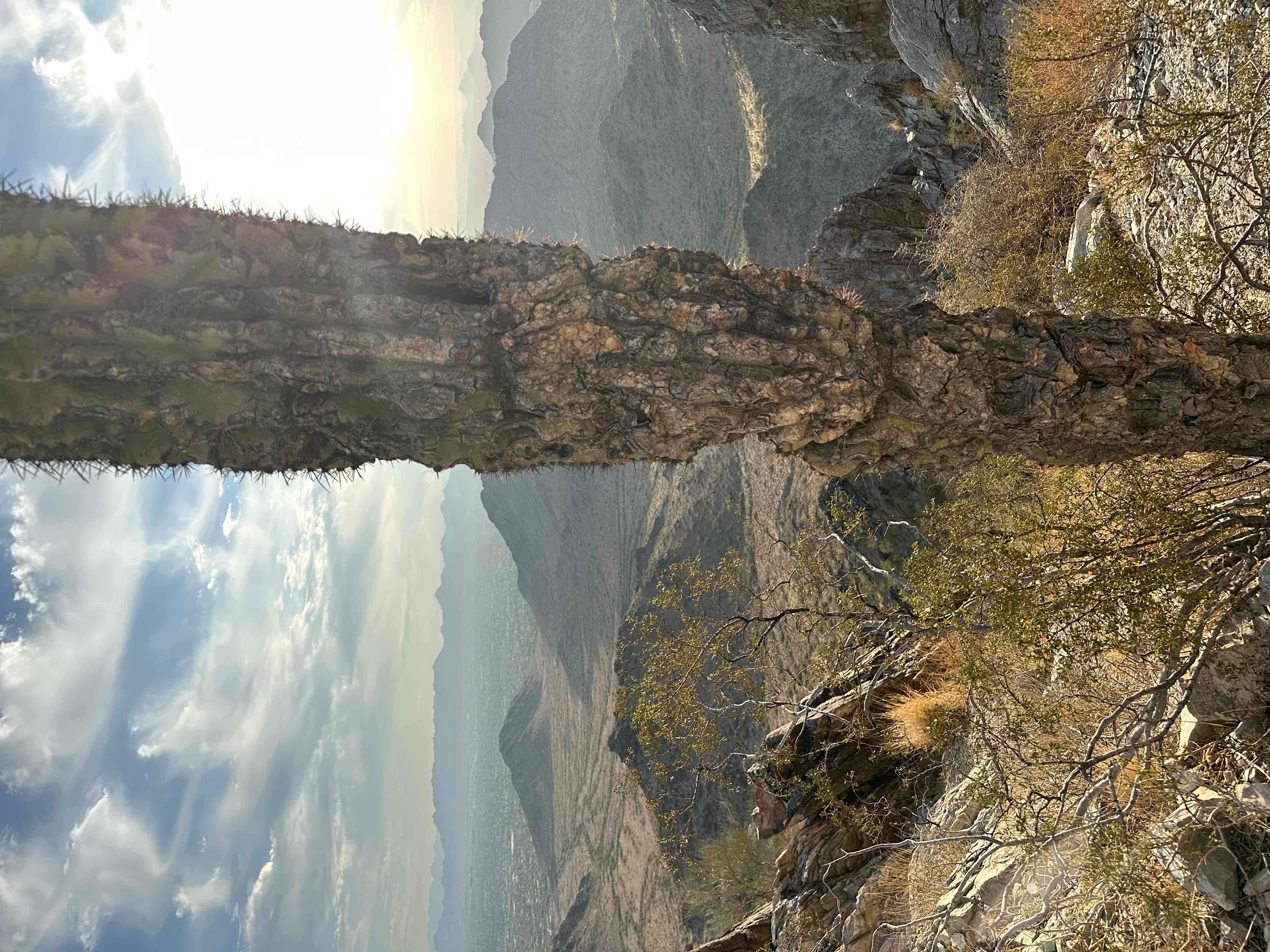 Piestewa Peak Summit