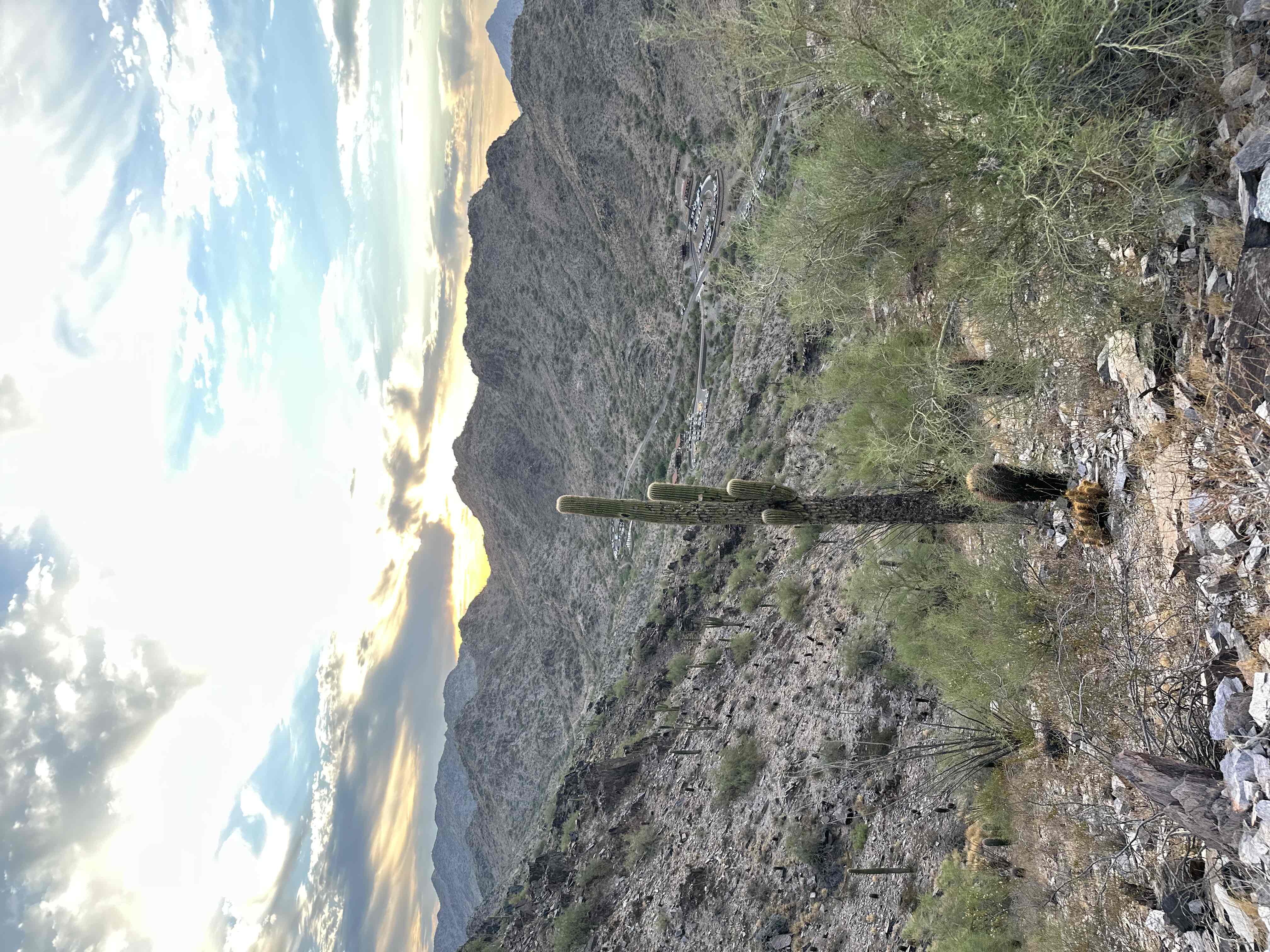 Piestewa Peak Summit