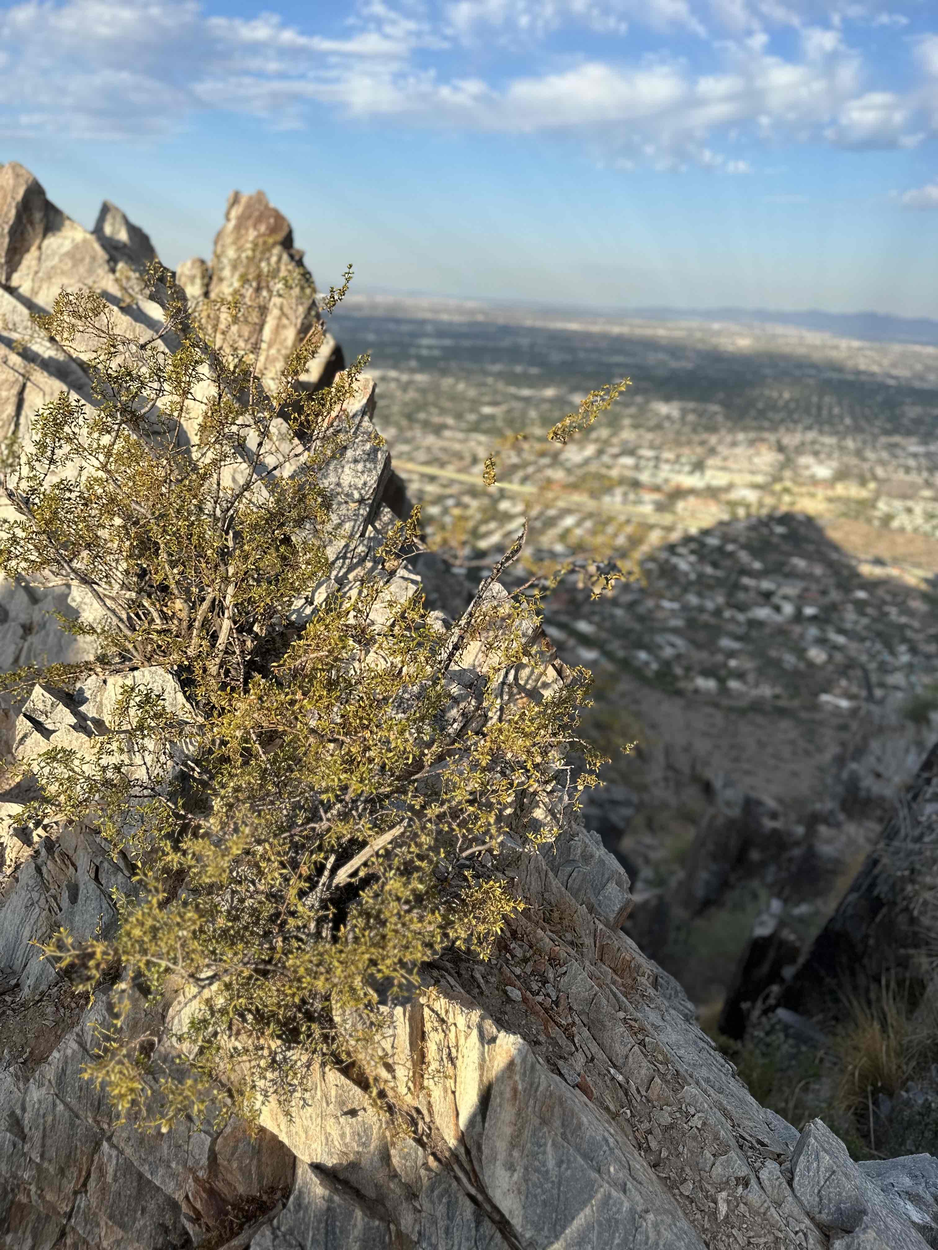 Piestewa Peak Summit