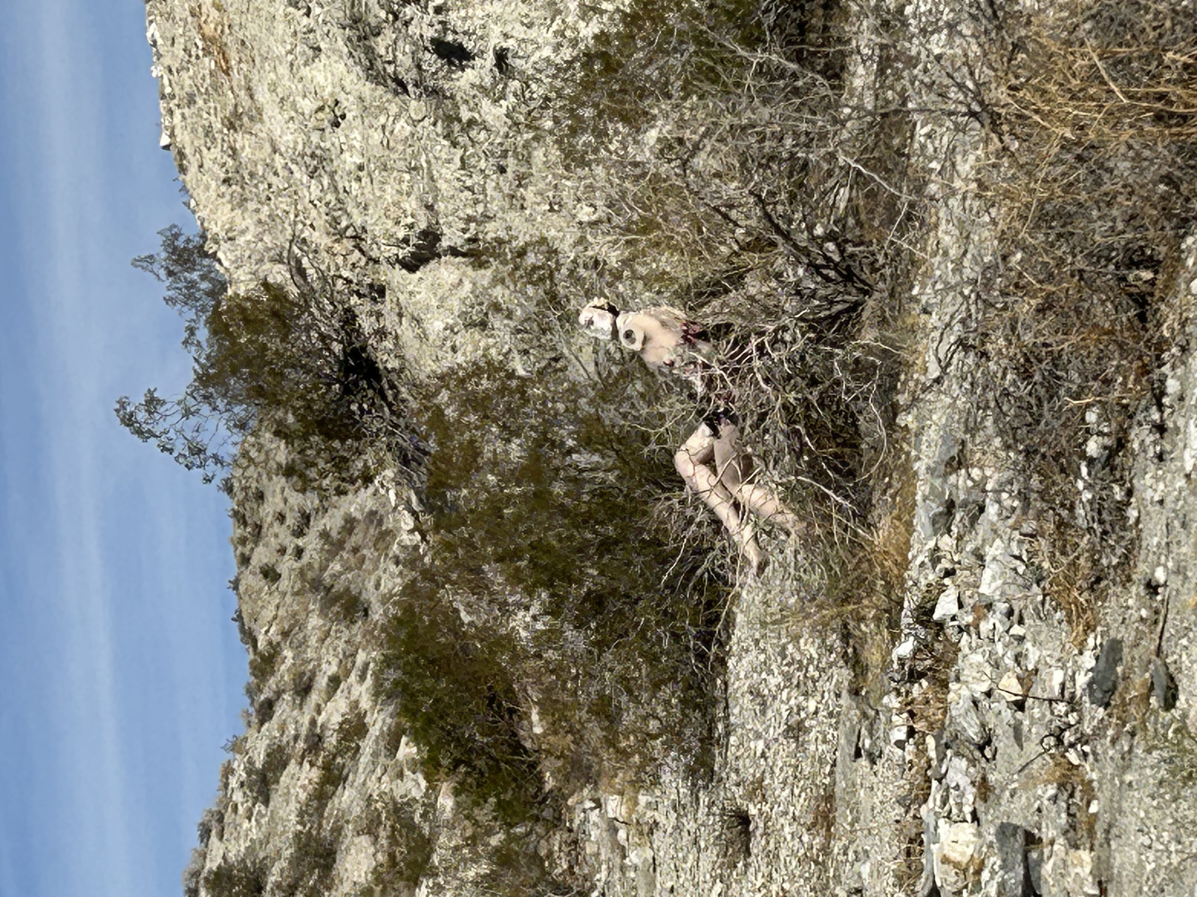 Hidden Trail to Flag Mountain