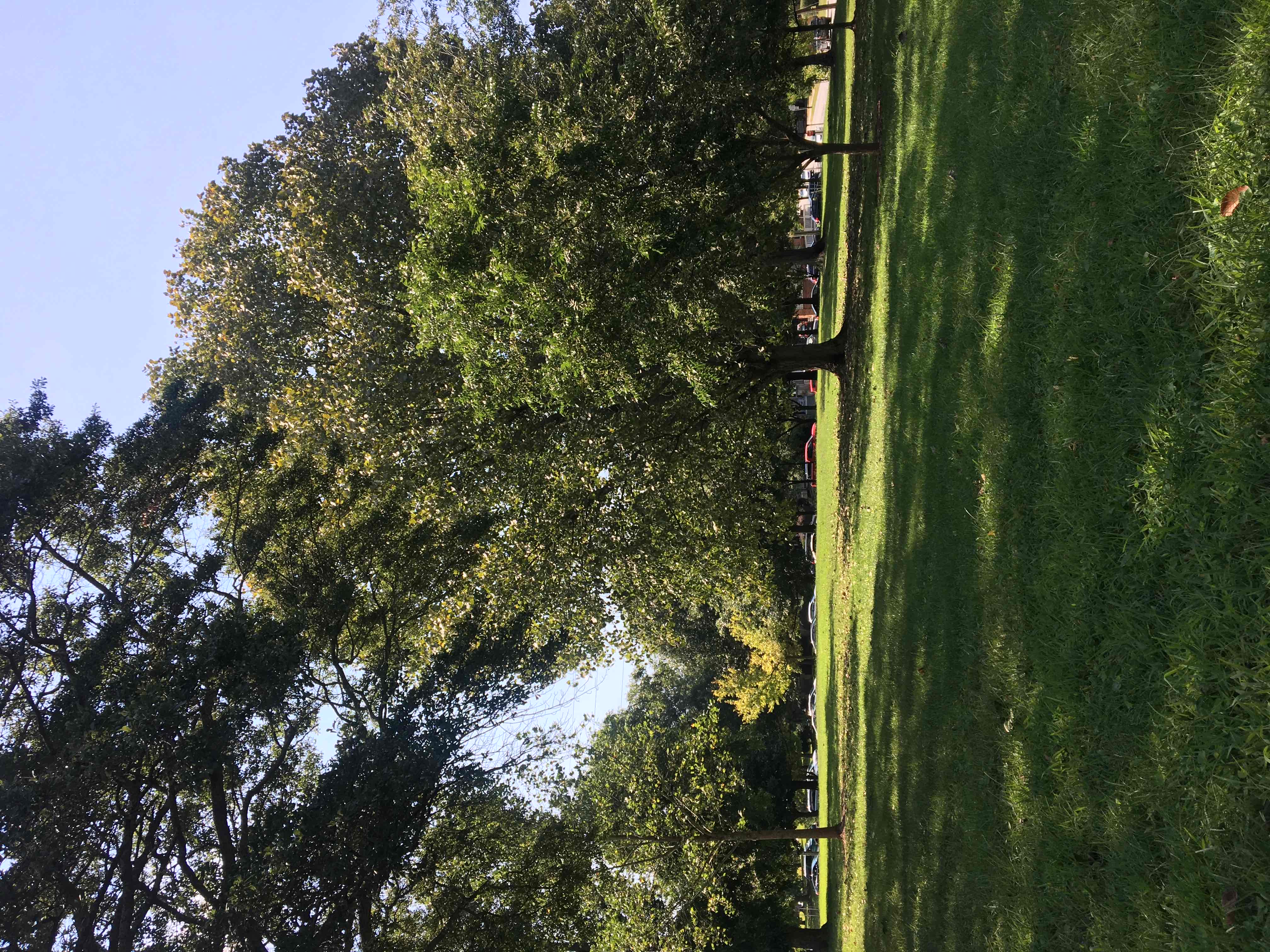 Carter Center, Freedom Park, Olmsted Linear Parks