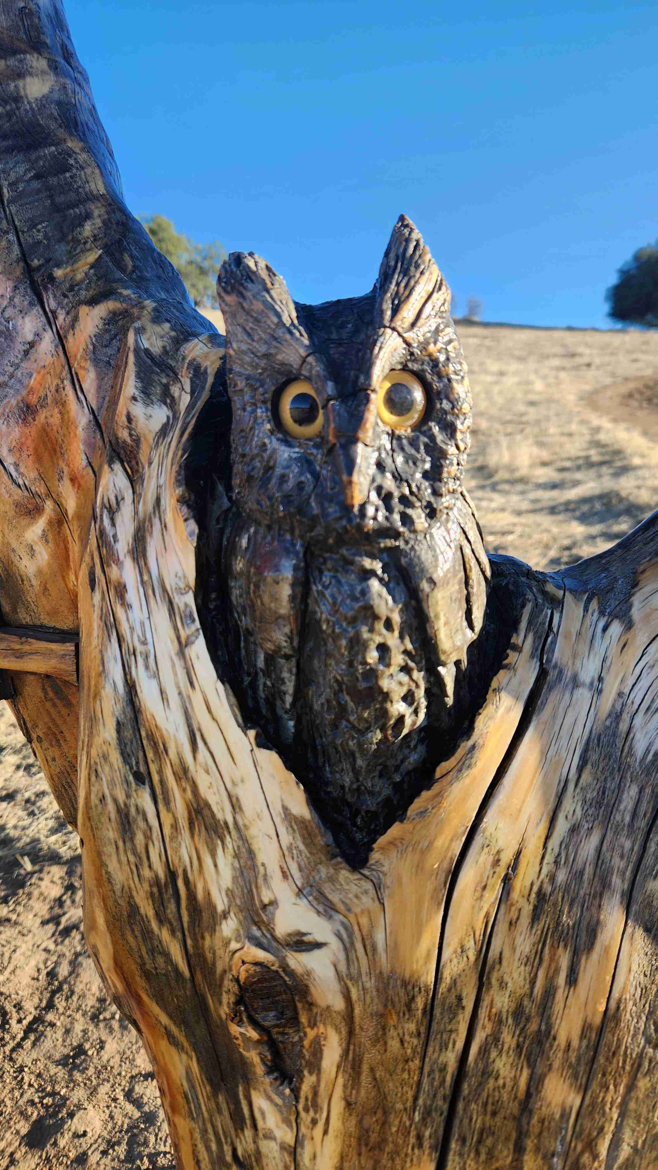 Upper Santa Ysabel Creek Trail