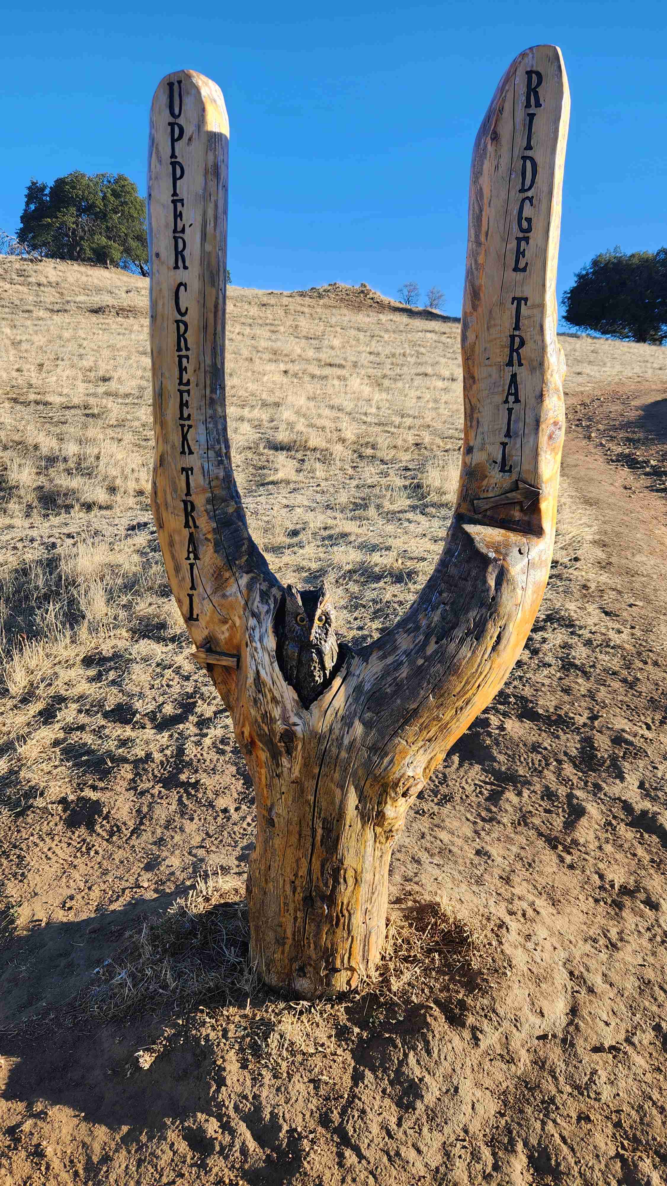 Upper Santa Ysabel Creek Trail