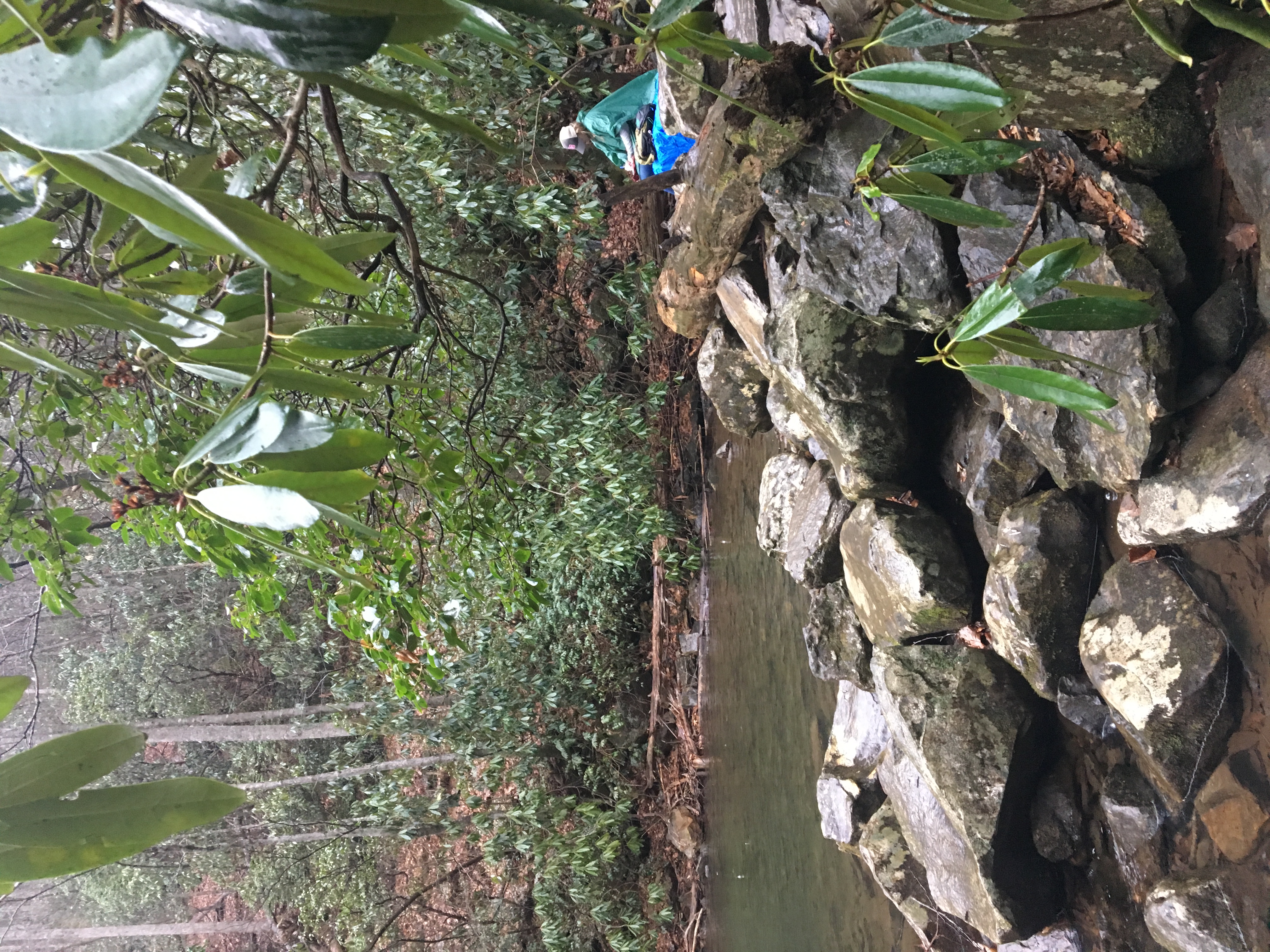 Hemlock Falls Trail