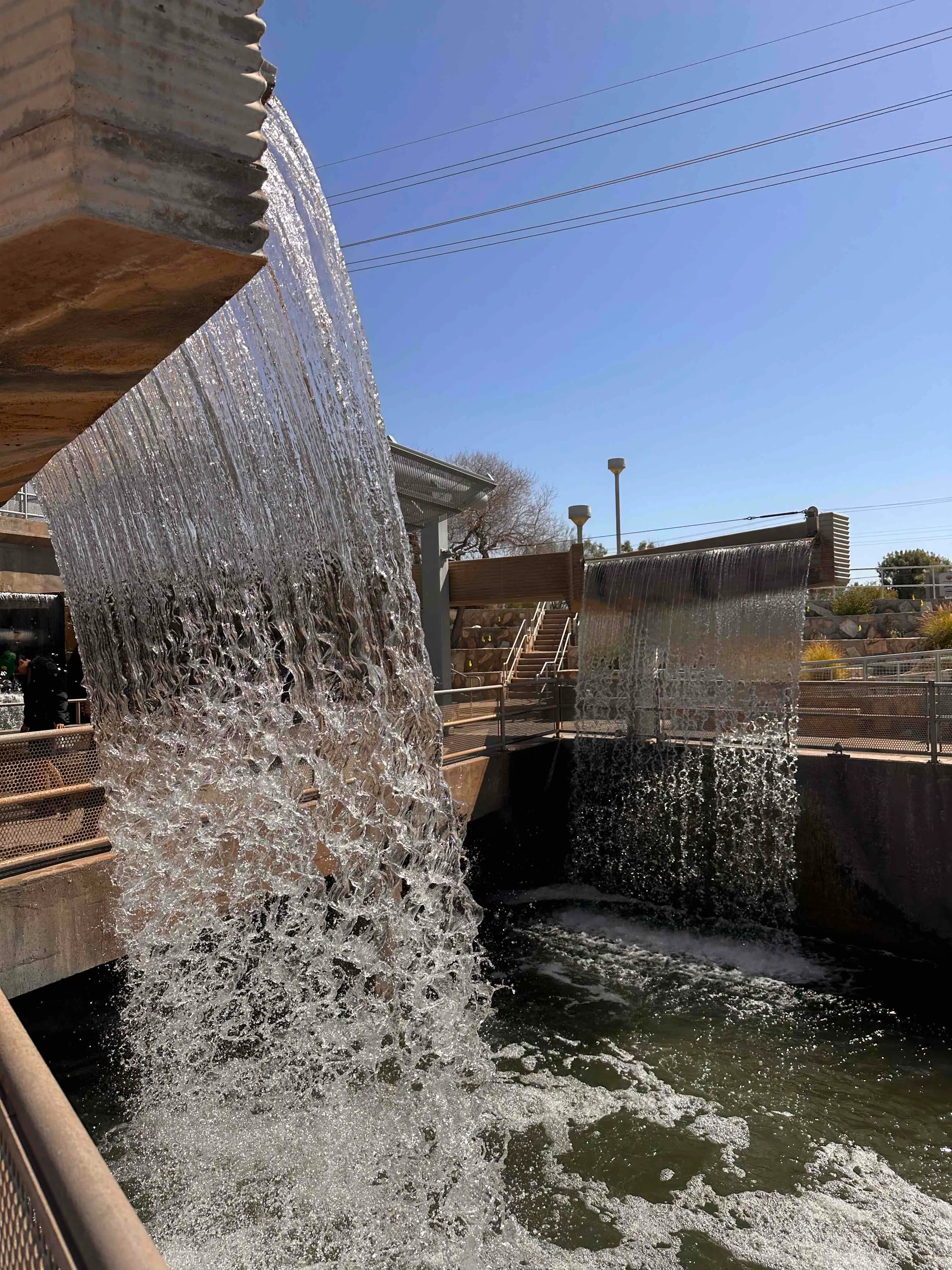 Arizona Canal Trail