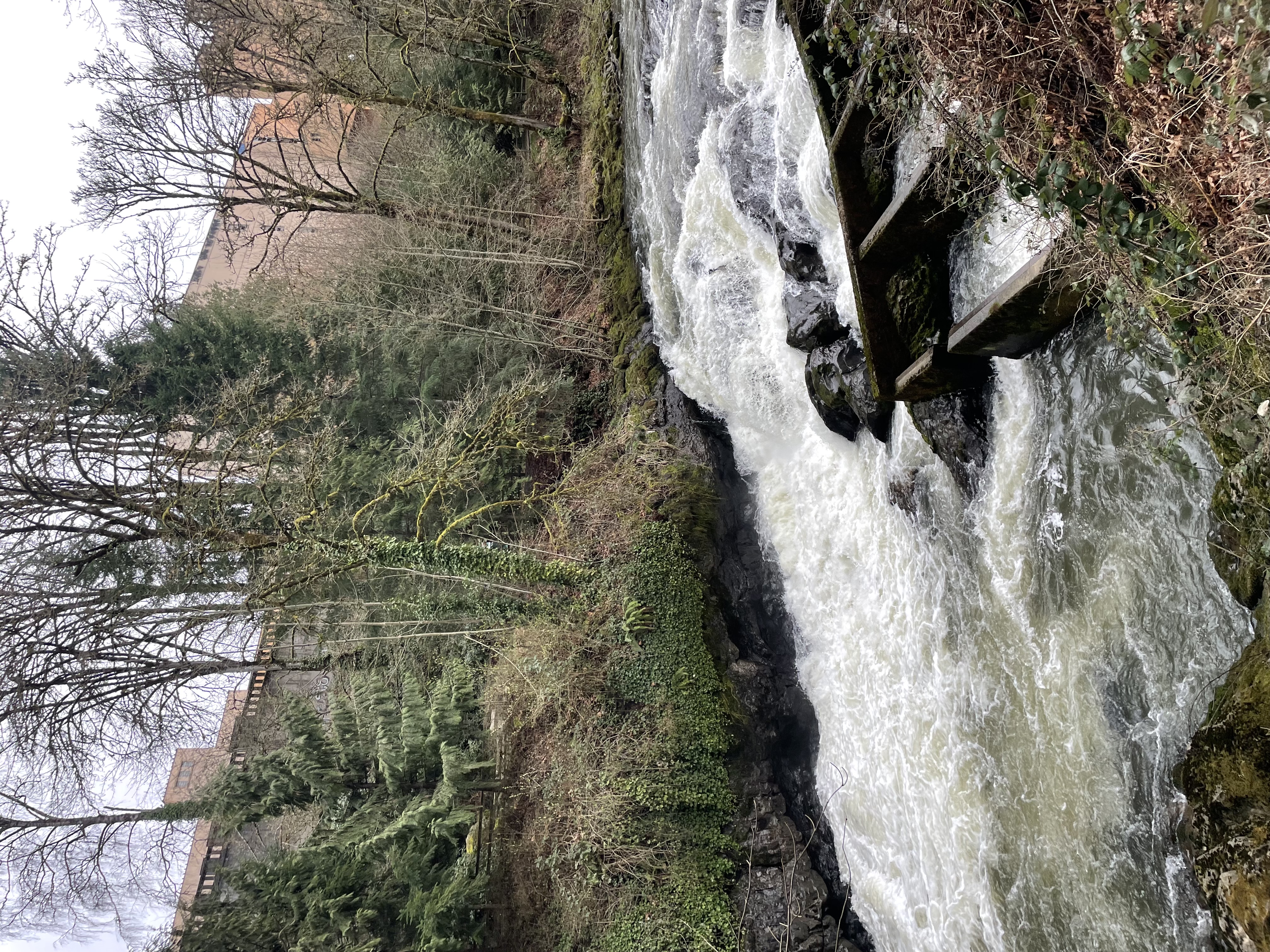Tumwater Falls Trail
