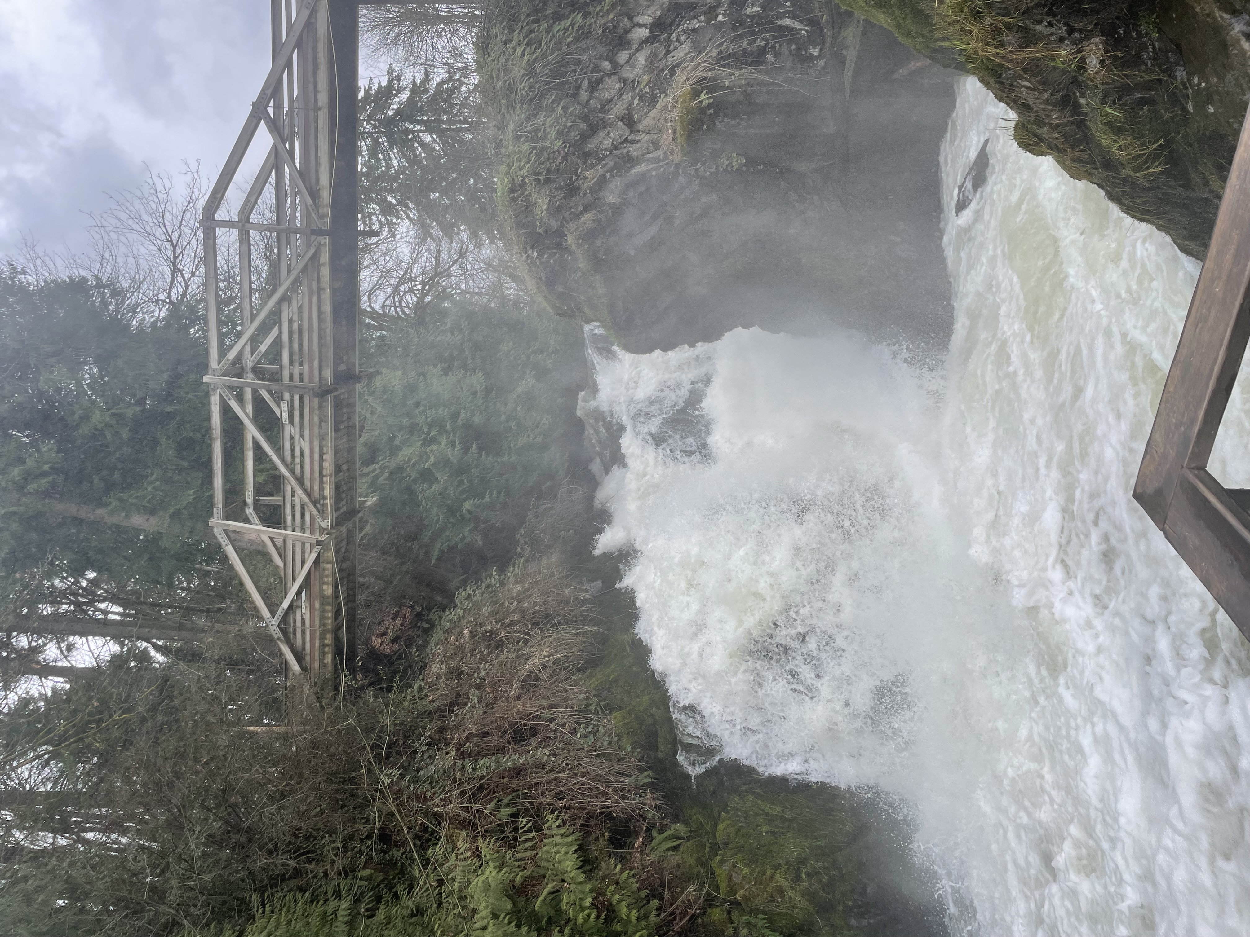 Tumwater Falls Trail