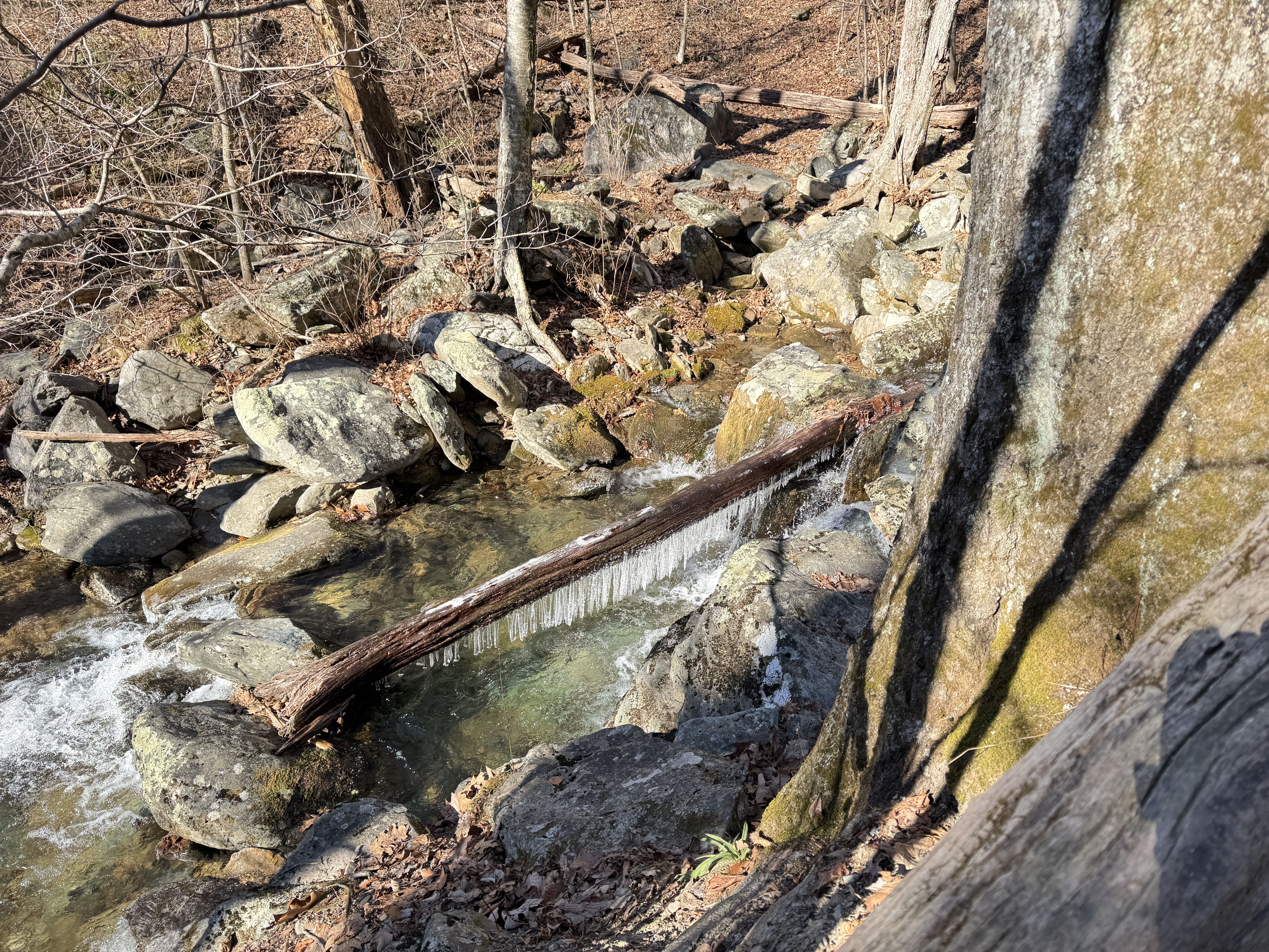 White Rock Falls Trail