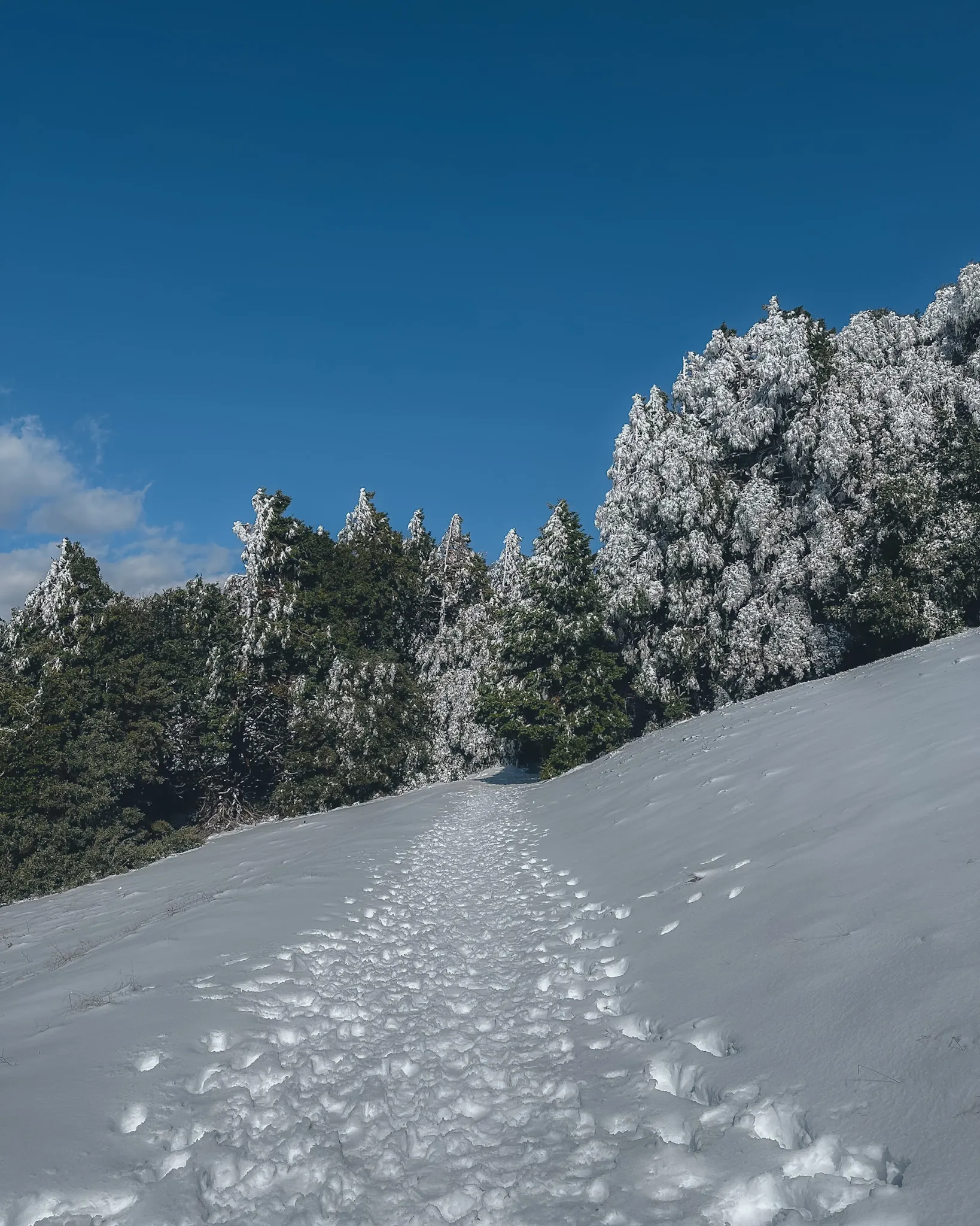 Volcan Mountain Trail