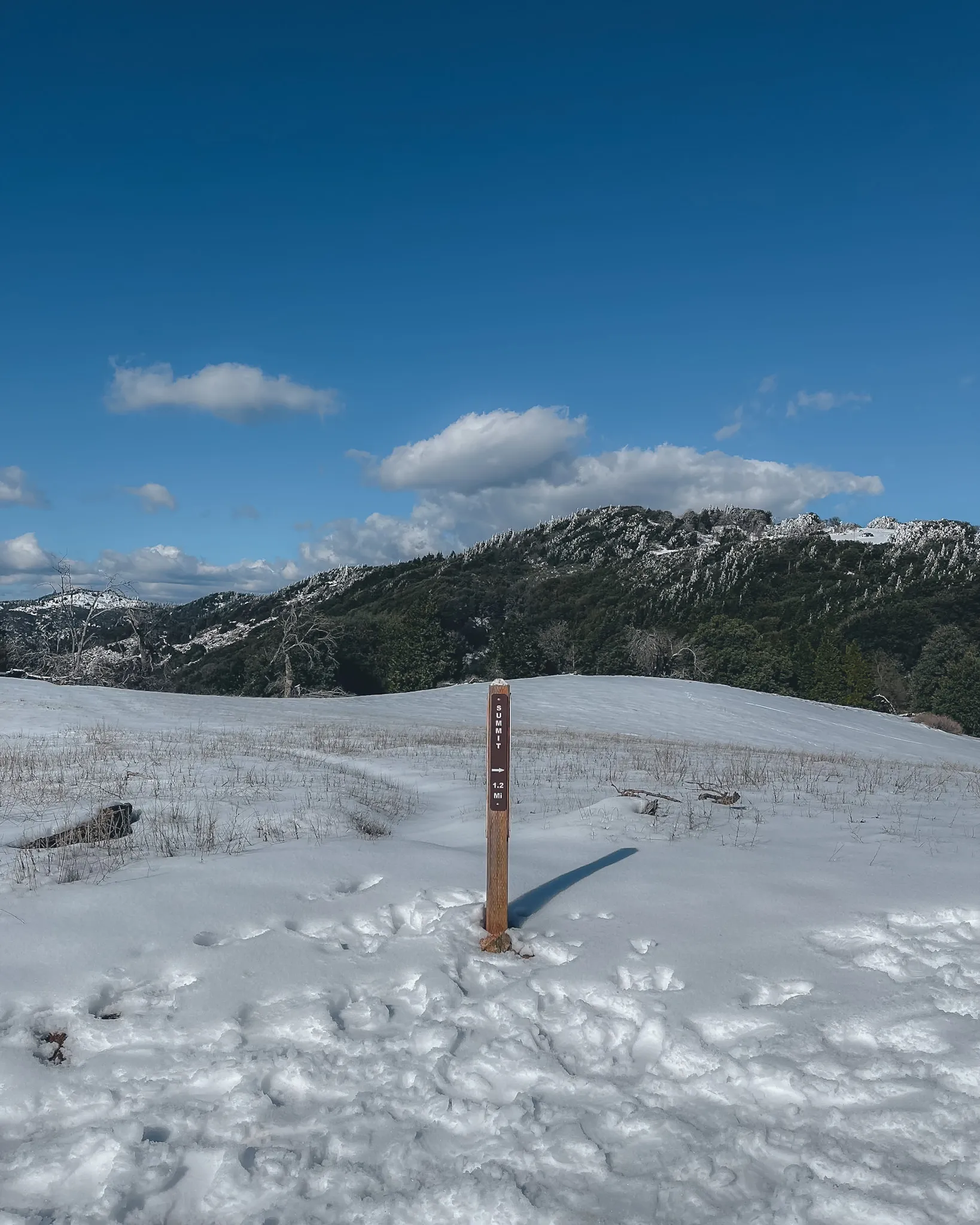 Volcan Mountain Trail