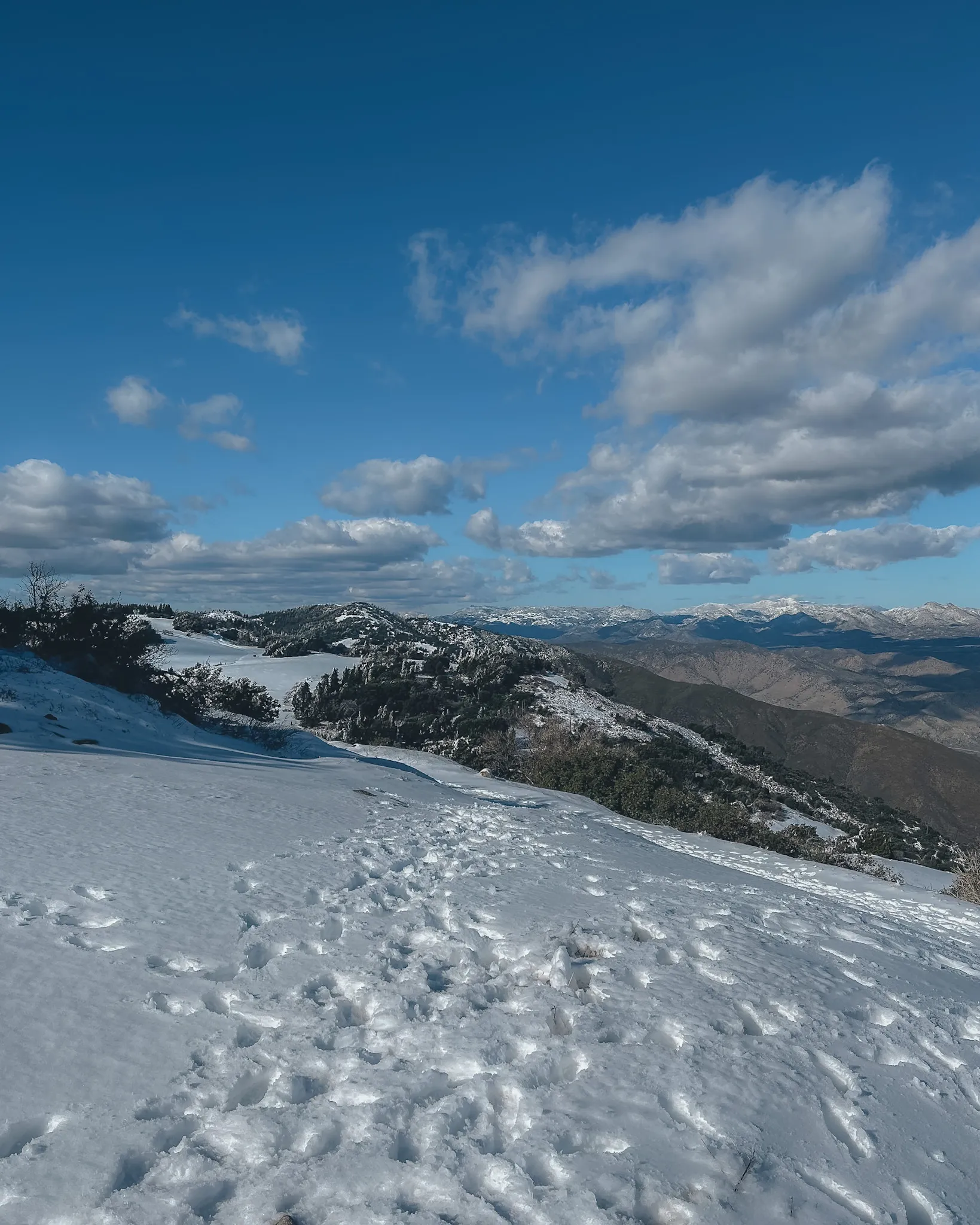 Volcan Mountain Trail
